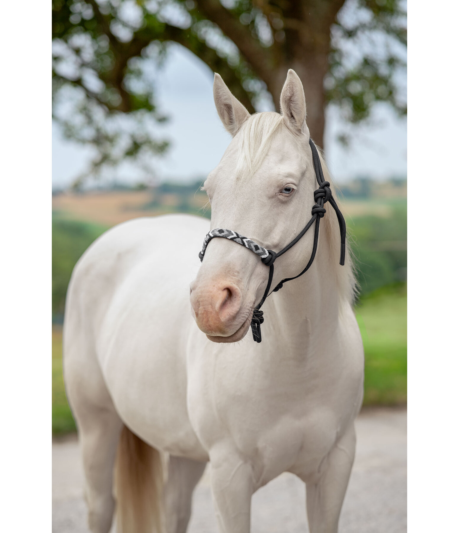 Capezza in corda Beaded