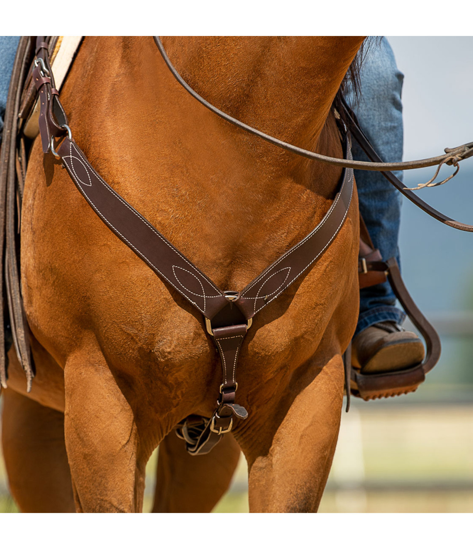 Pettorale western Basic