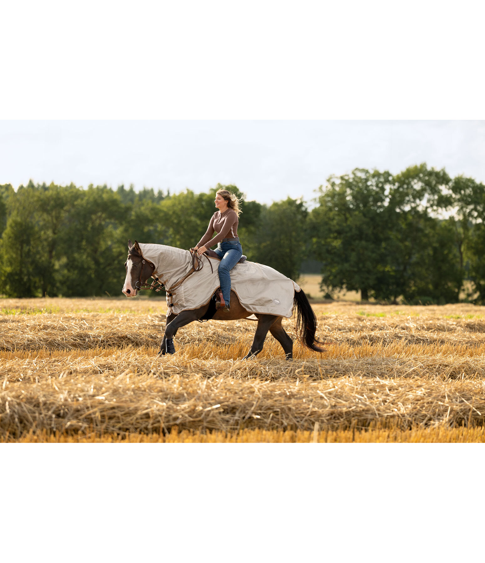 Coperta antimosche western da passeggiata con collo arrotolabile