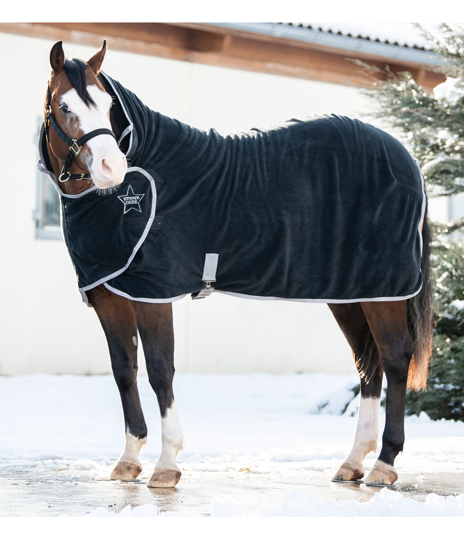 Coperta dopolavoro Stella