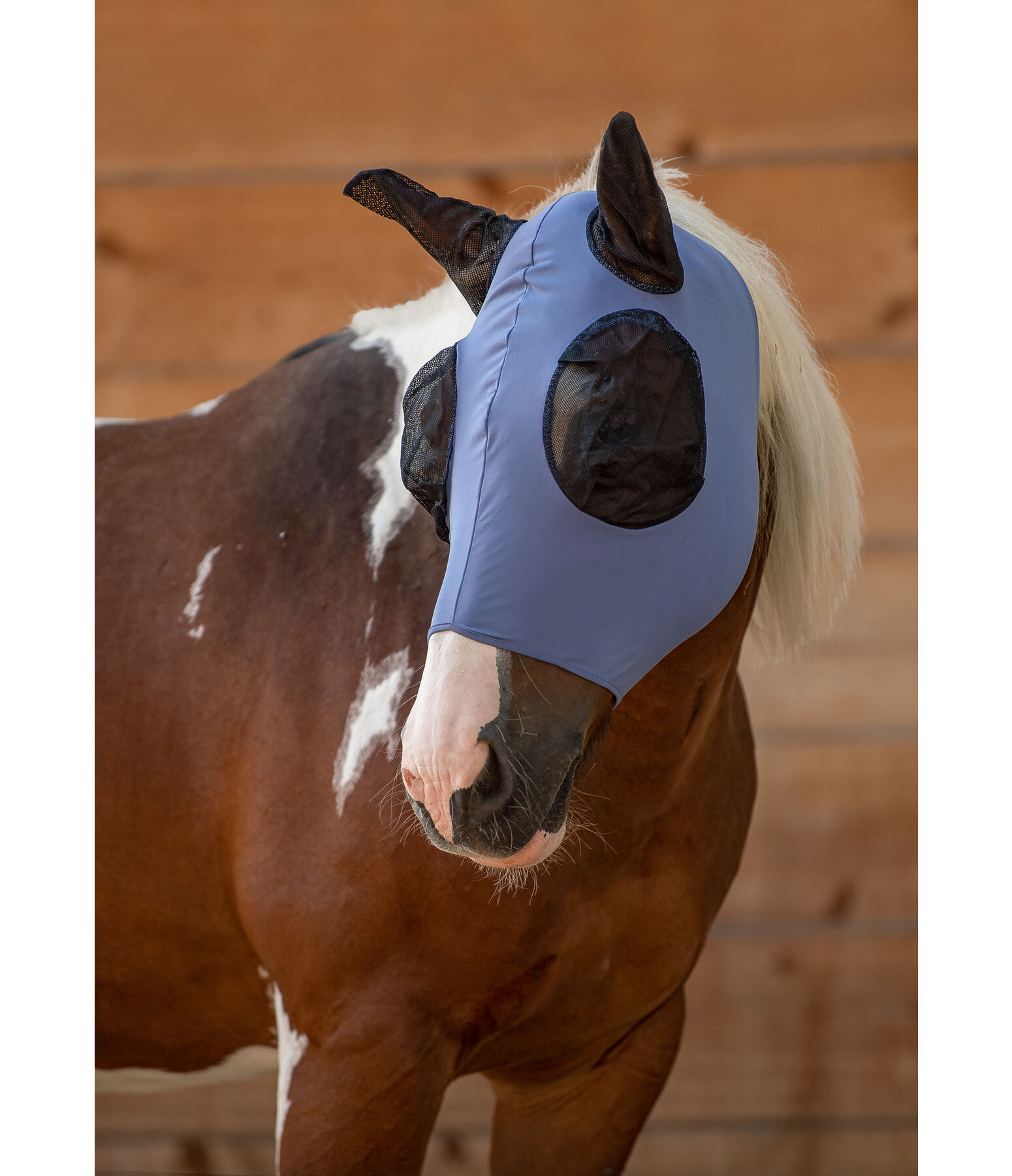 Maschera antimosche Elastic