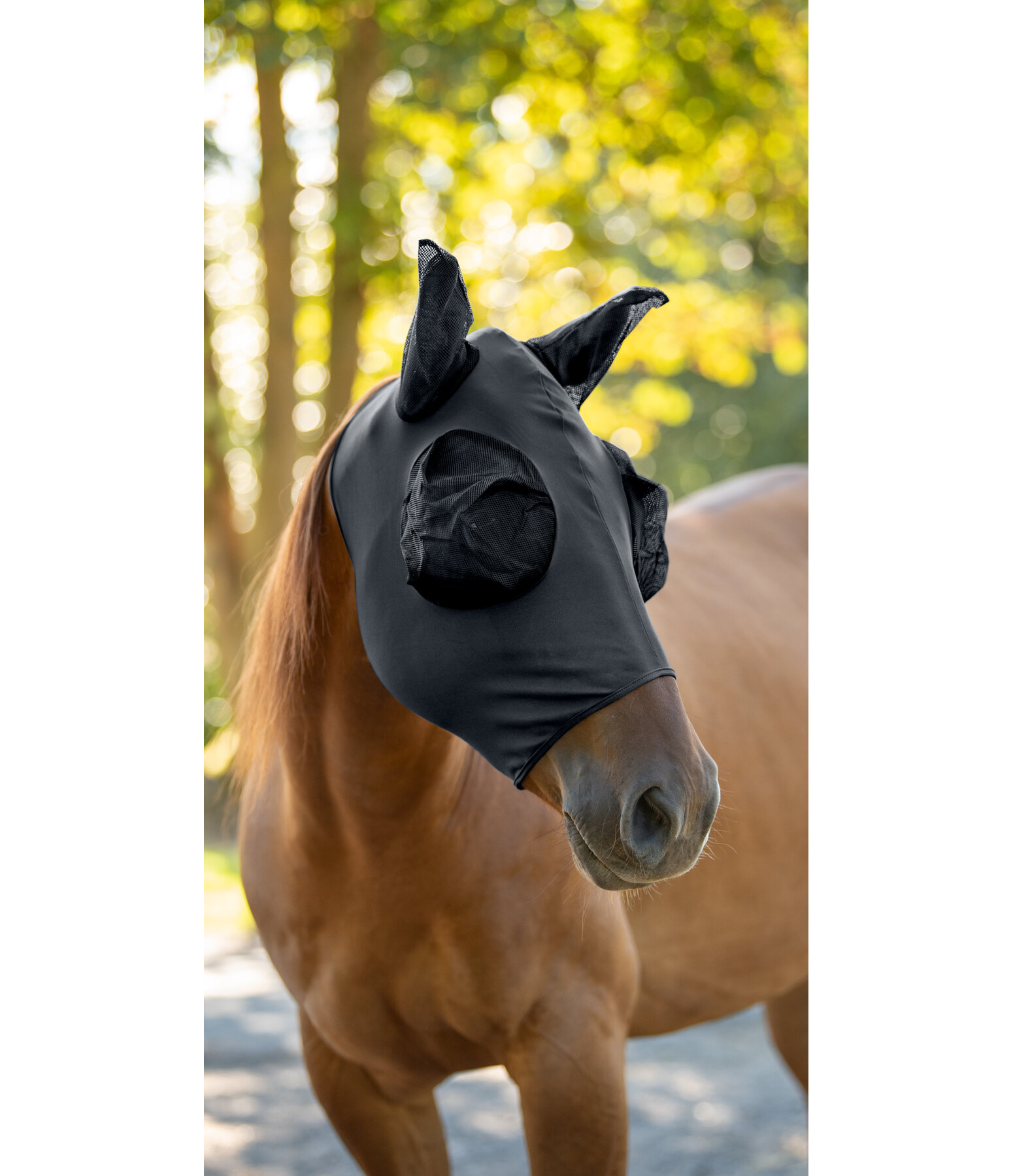 Maschera antimosche Elastic