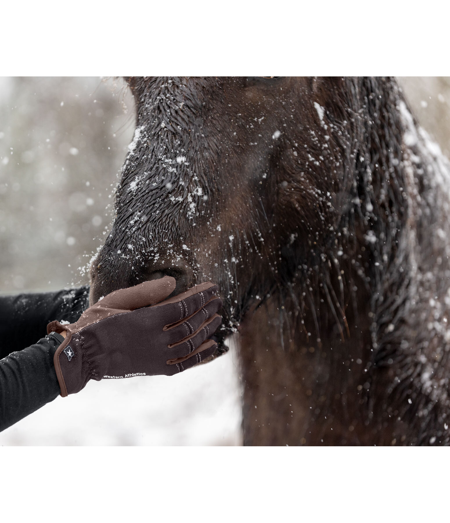 Guanti da equitazione estivi Omeo