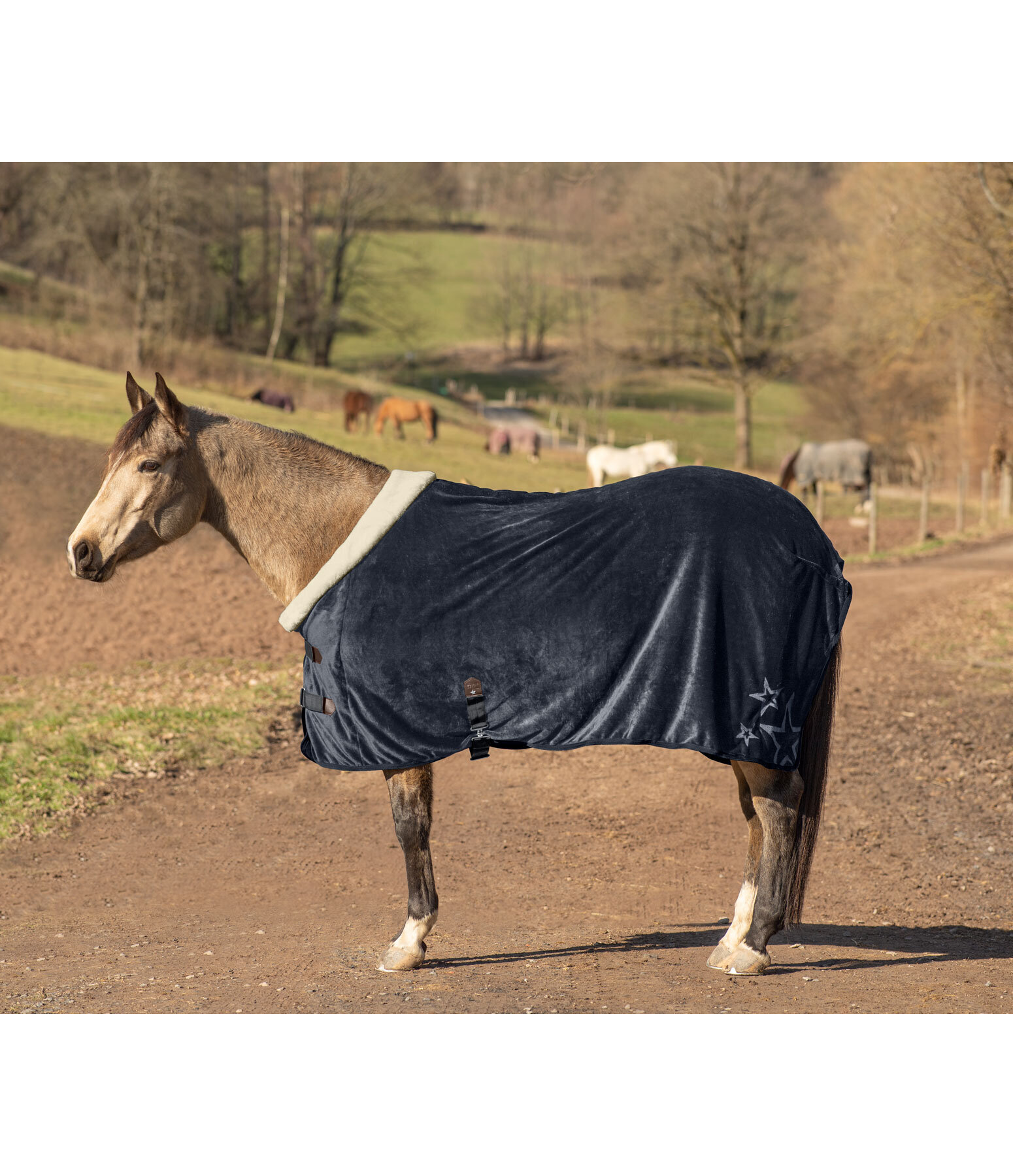 Coperta in pile soft Wanda