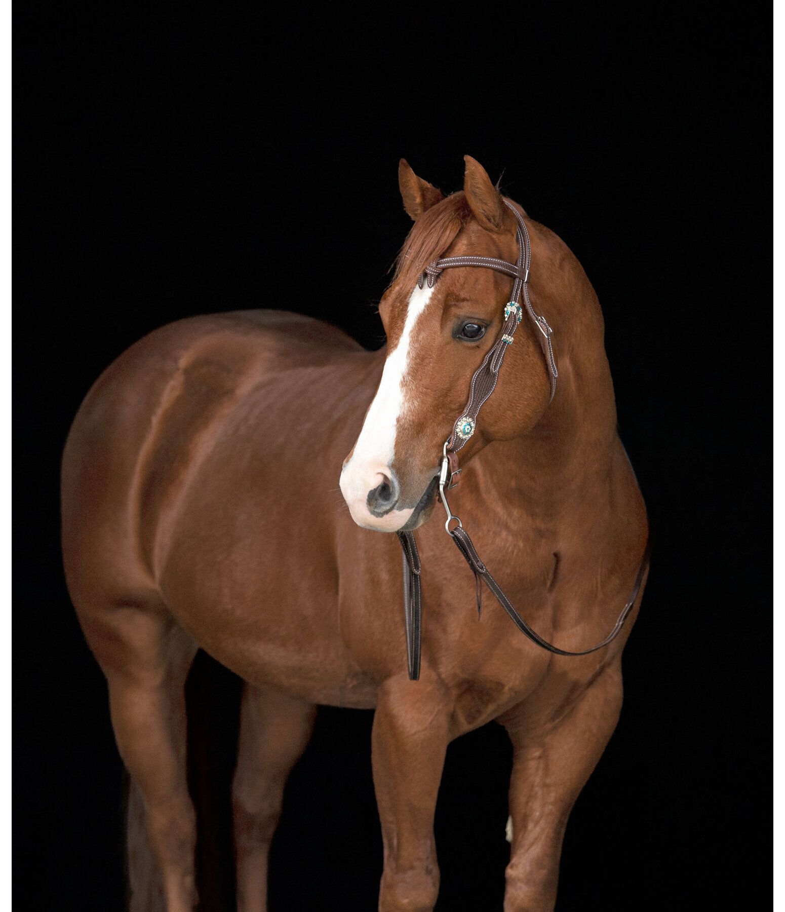 Testiera western Crystal Dream