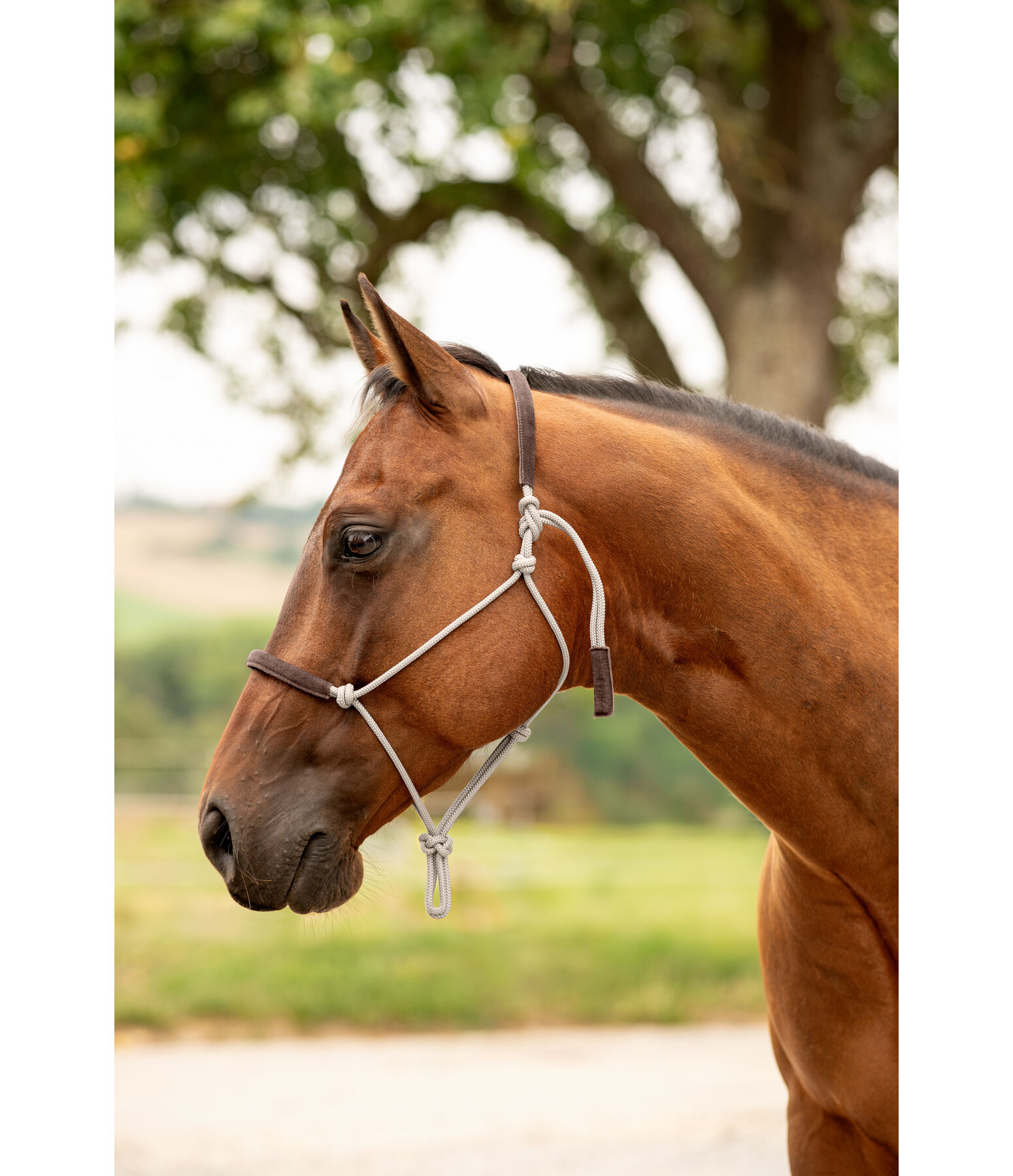 Capezza in corda Cuero