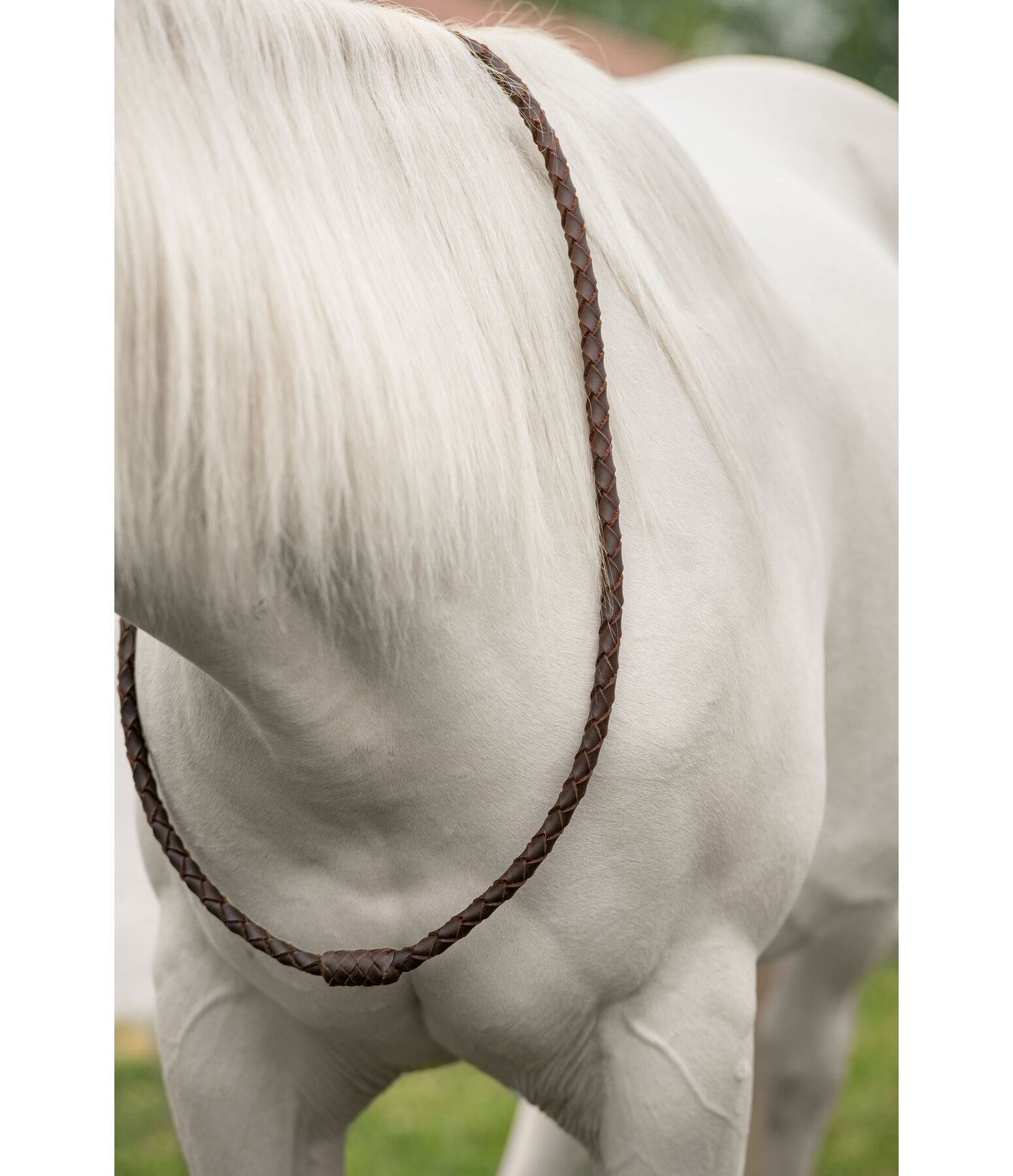 Redini a collare in cuoio premium