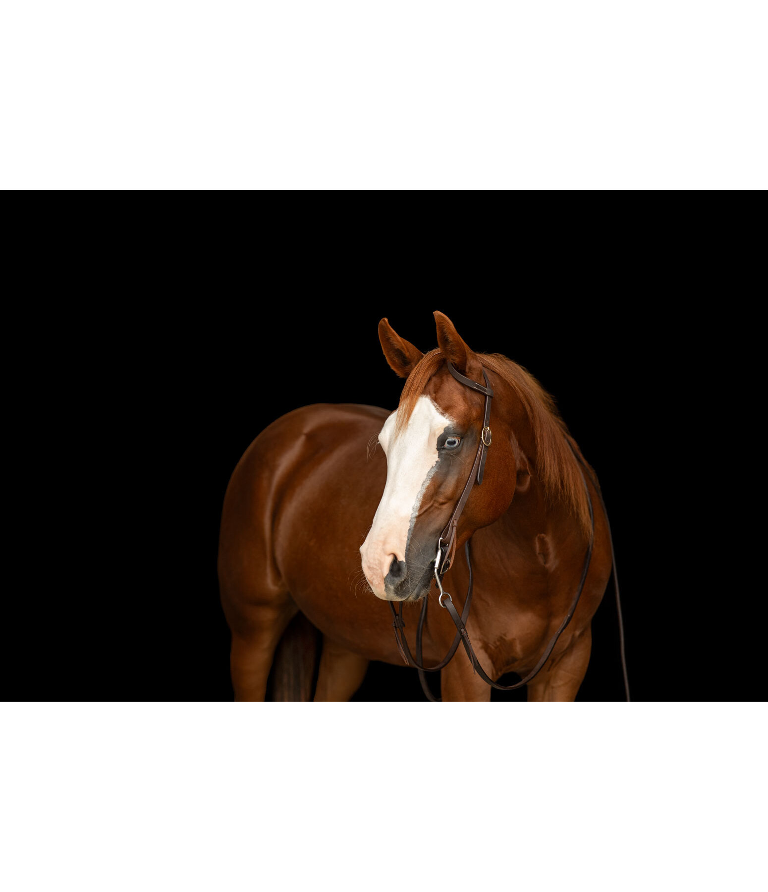 Testiera da lavoro one ear Harness