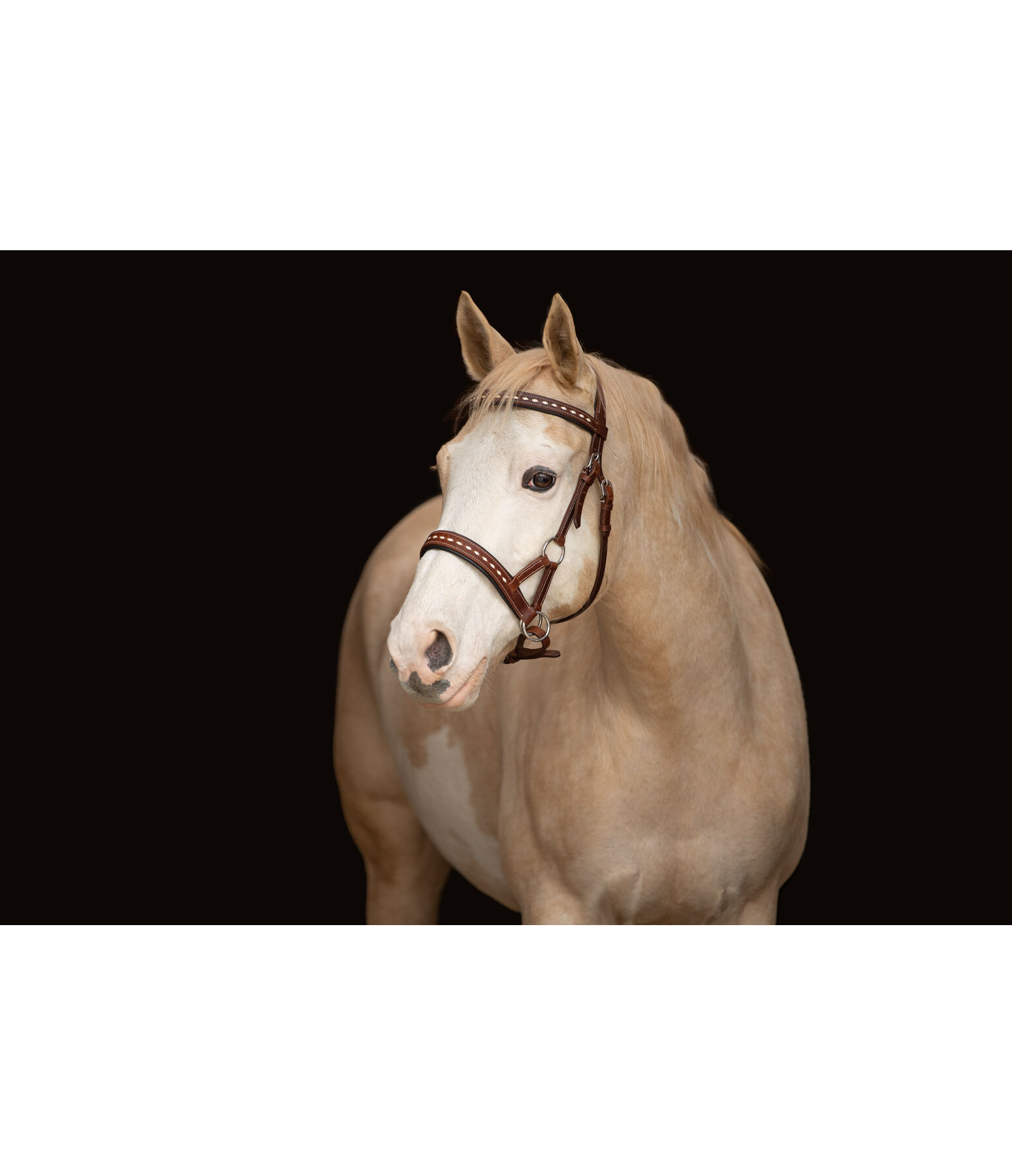 Sidepull Rawhide