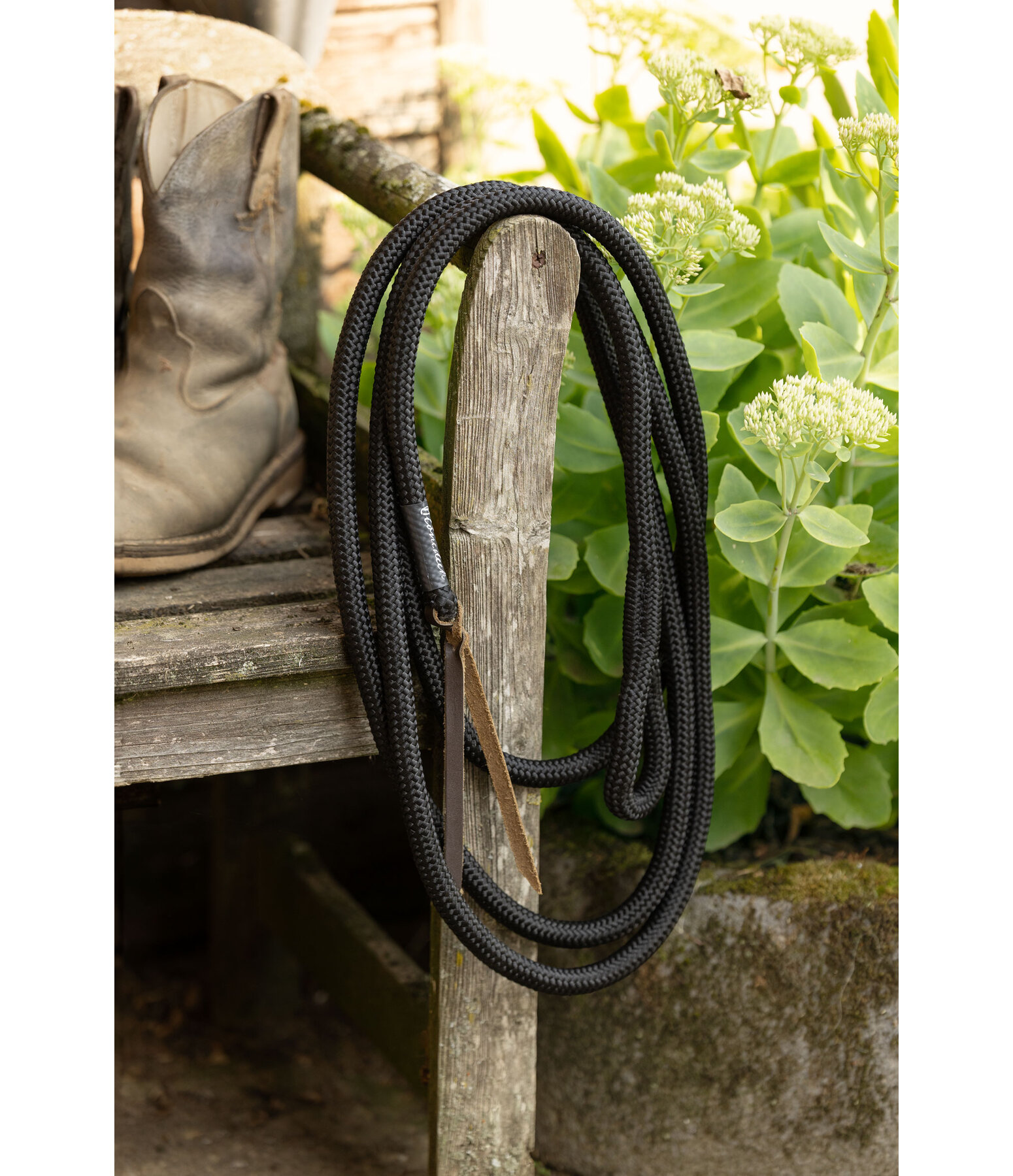 Longhina con passante