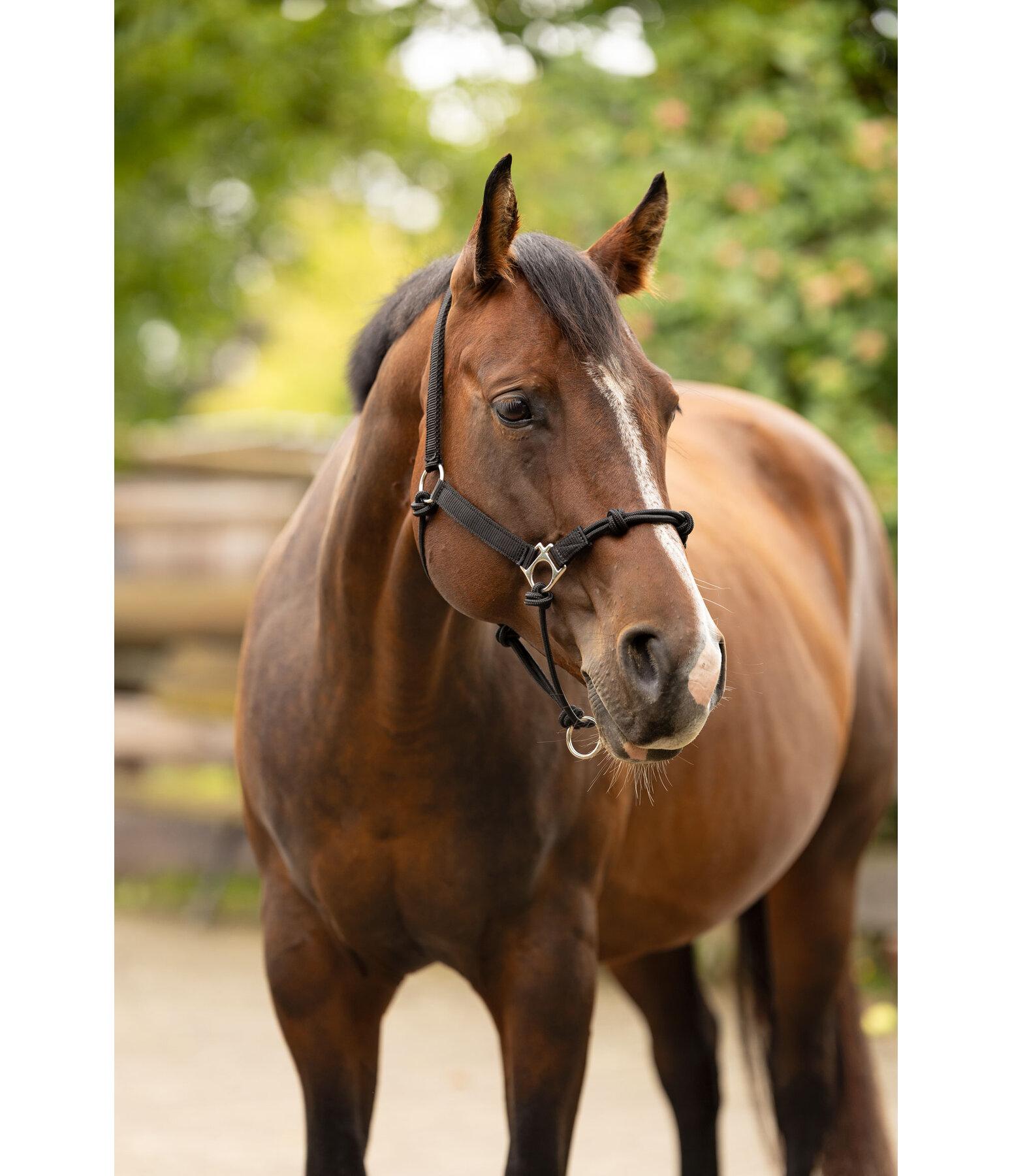 Capezza in corda hybrid