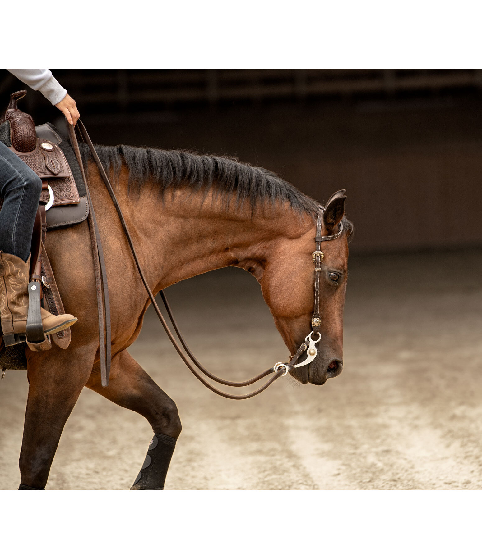 Testiera a due orecchie Leaves