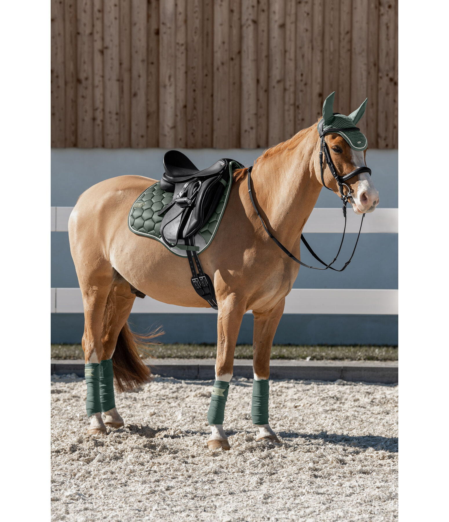 Sottosella Basic Pro