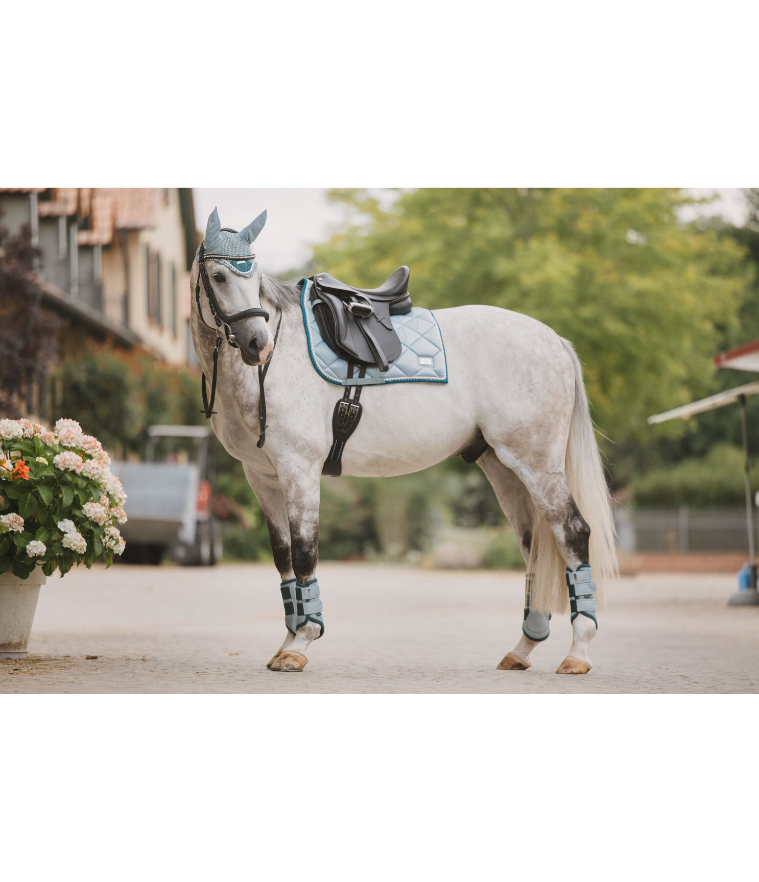 Sottosella Swiss Design