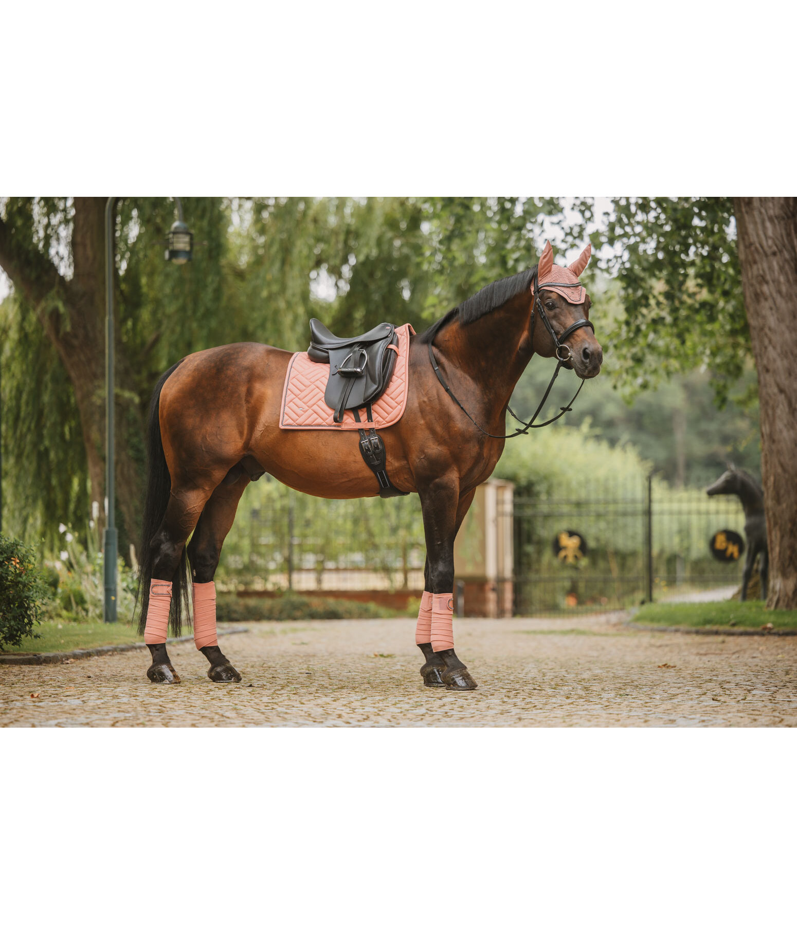 Sottosella Brilliant