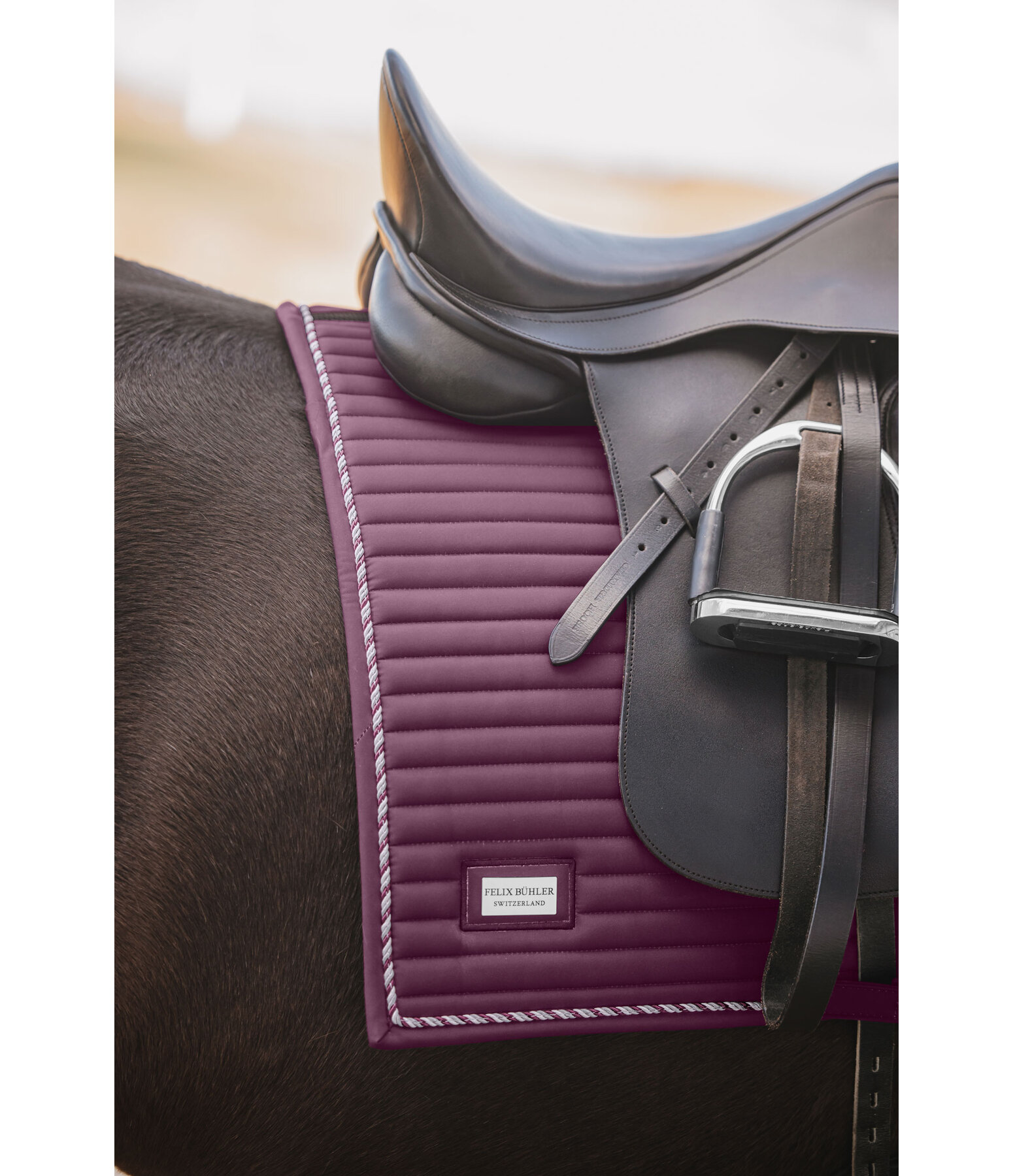 Sottosella Sophistication Regular