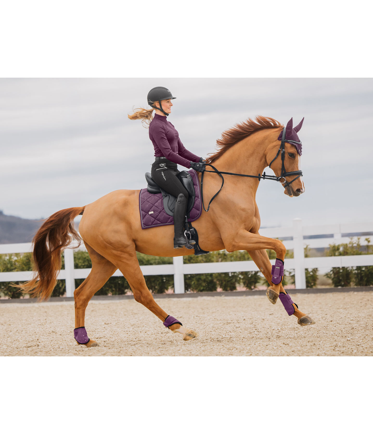 Sottosella Signature II