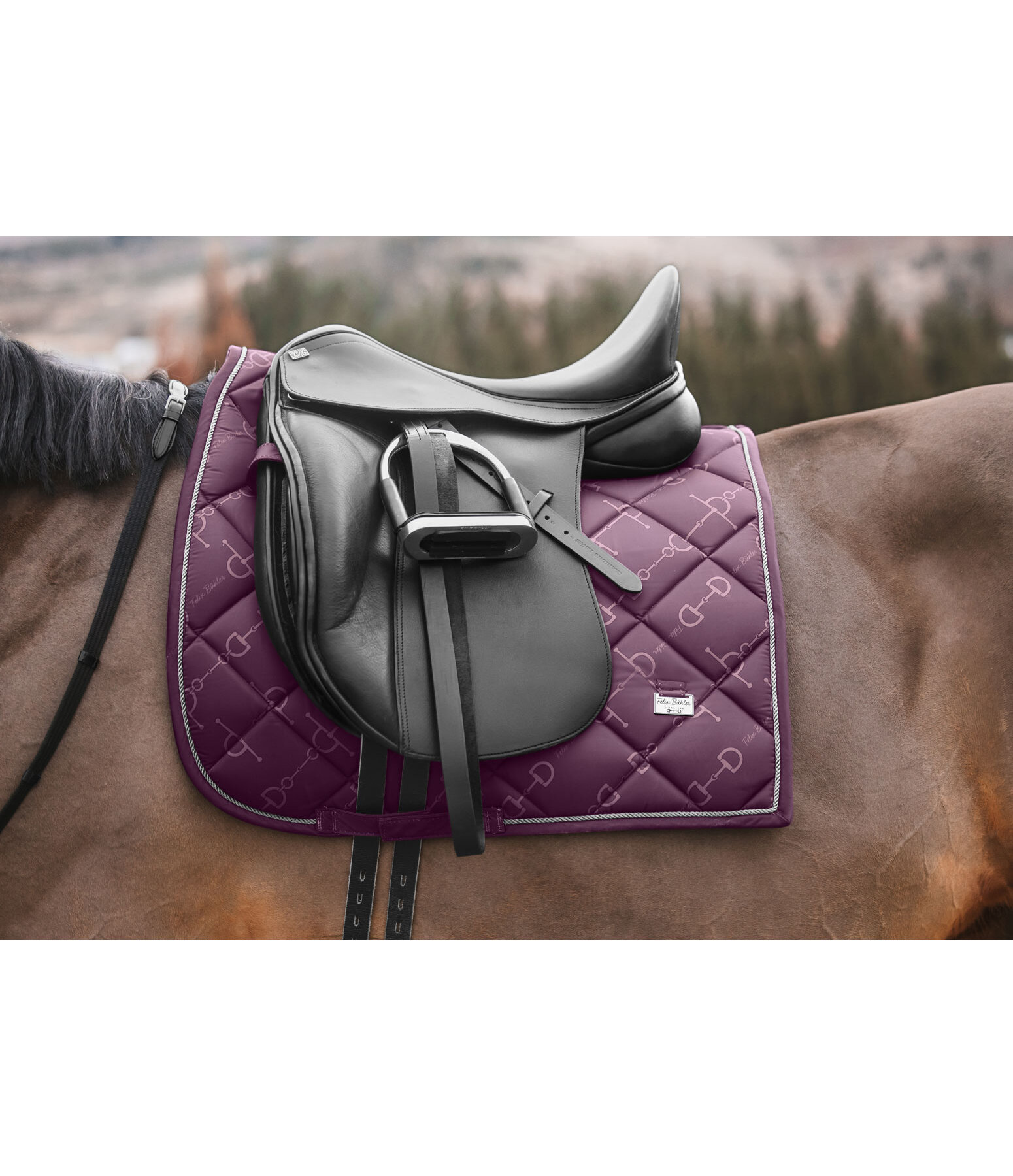 Sottosella Signature II