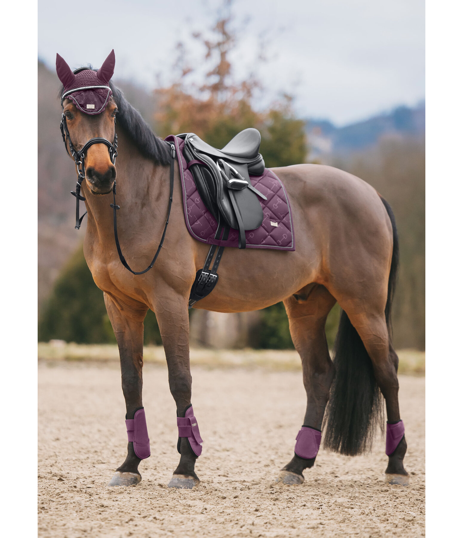 Sottosella Signature II