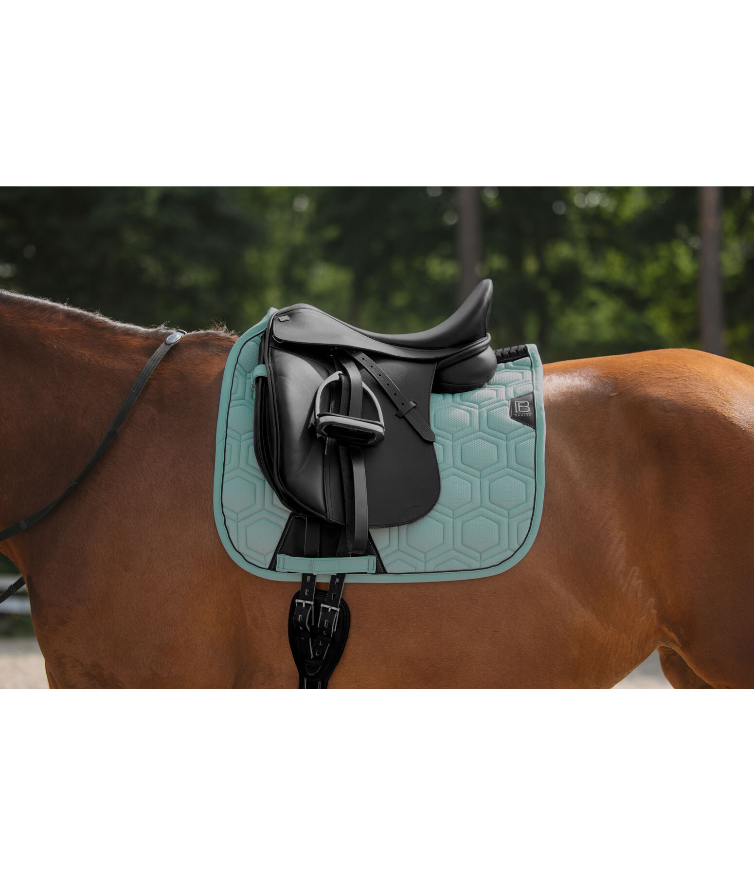 Sottosella Mesh-Technology