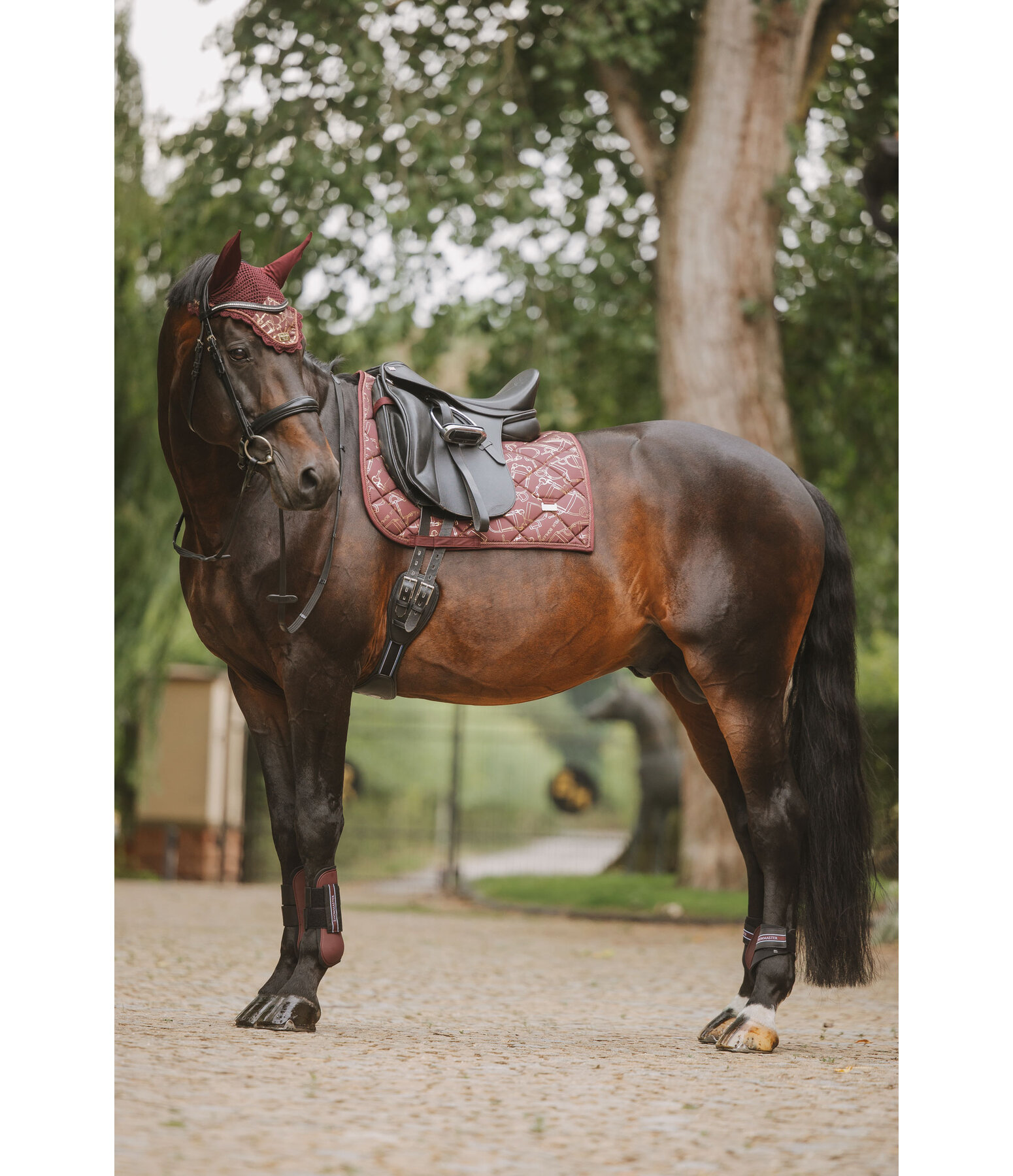 Sottosella Signature III