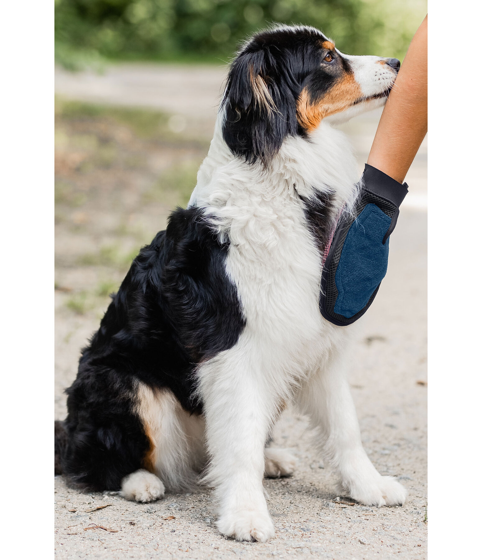 Guanto da massaggio e grooming per cani