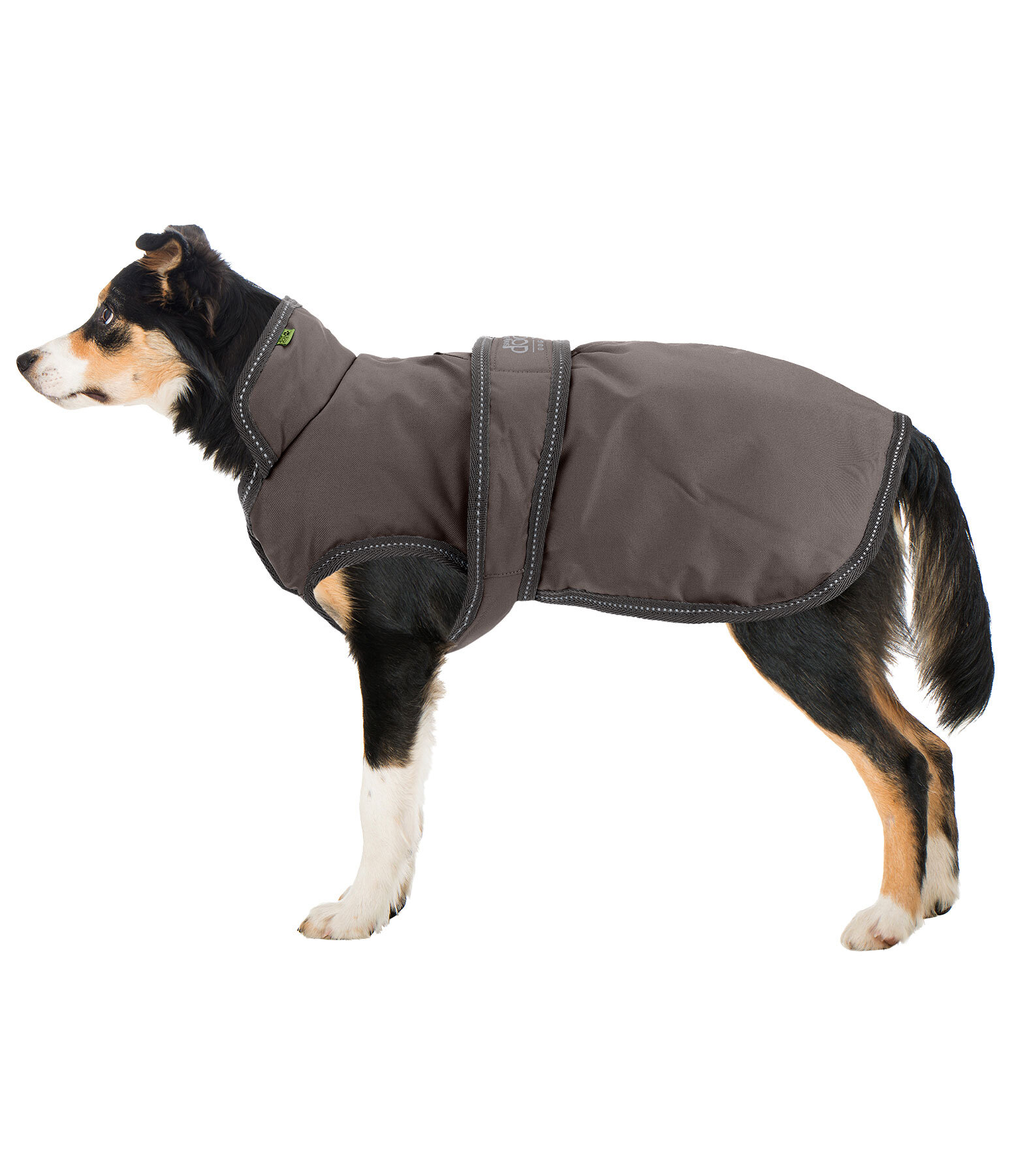 Cappotto invernale per cani Eddie con pile, 200 g