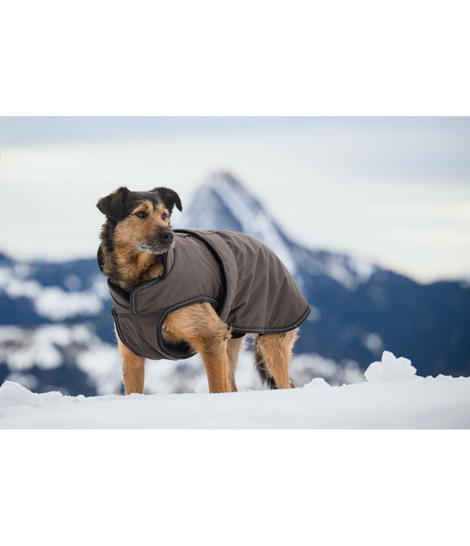 Cappotto invernale per cani Eddie con pile, 200 g