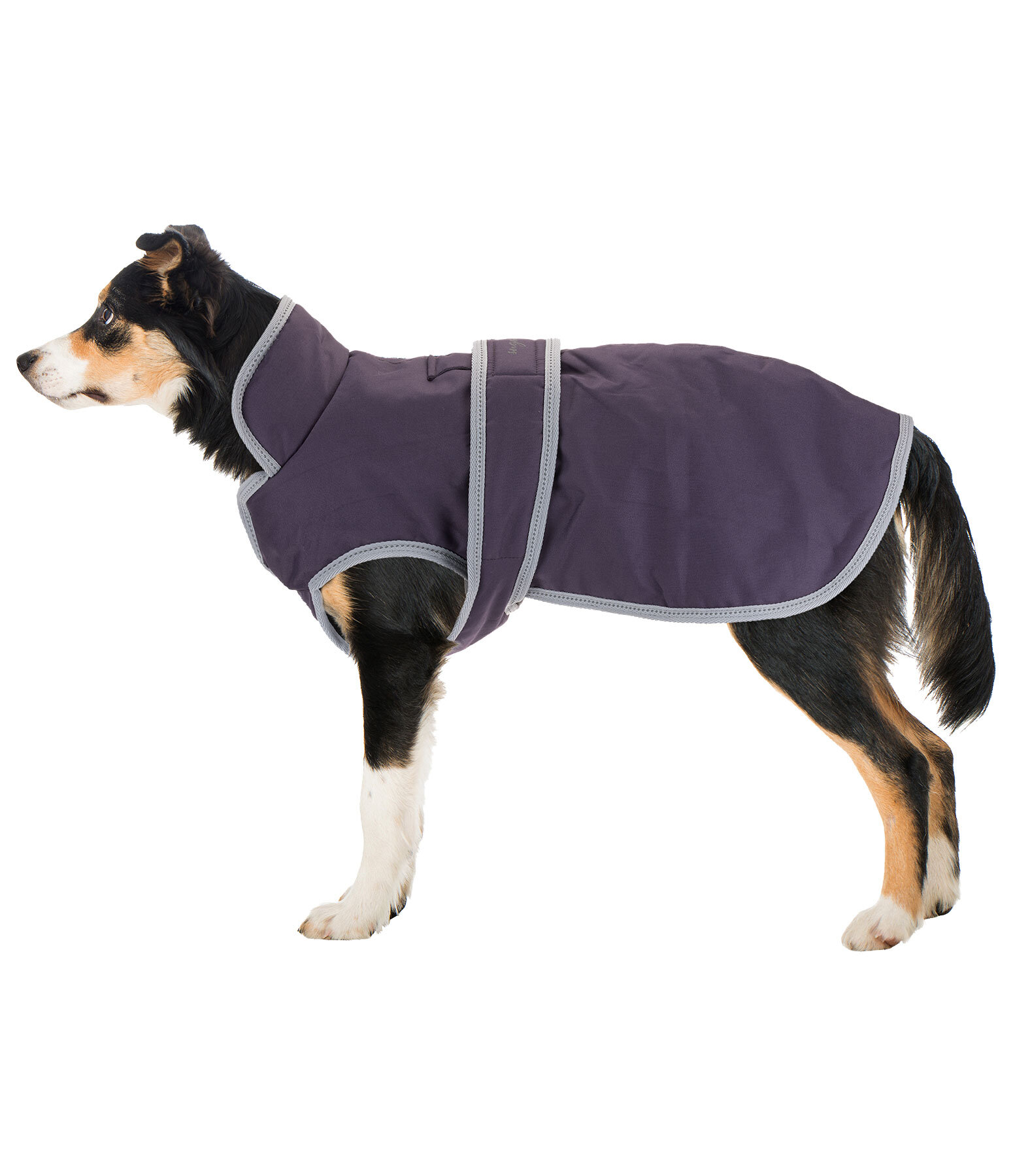 Cappotto invernale per cani con pile Eddie, 200 g