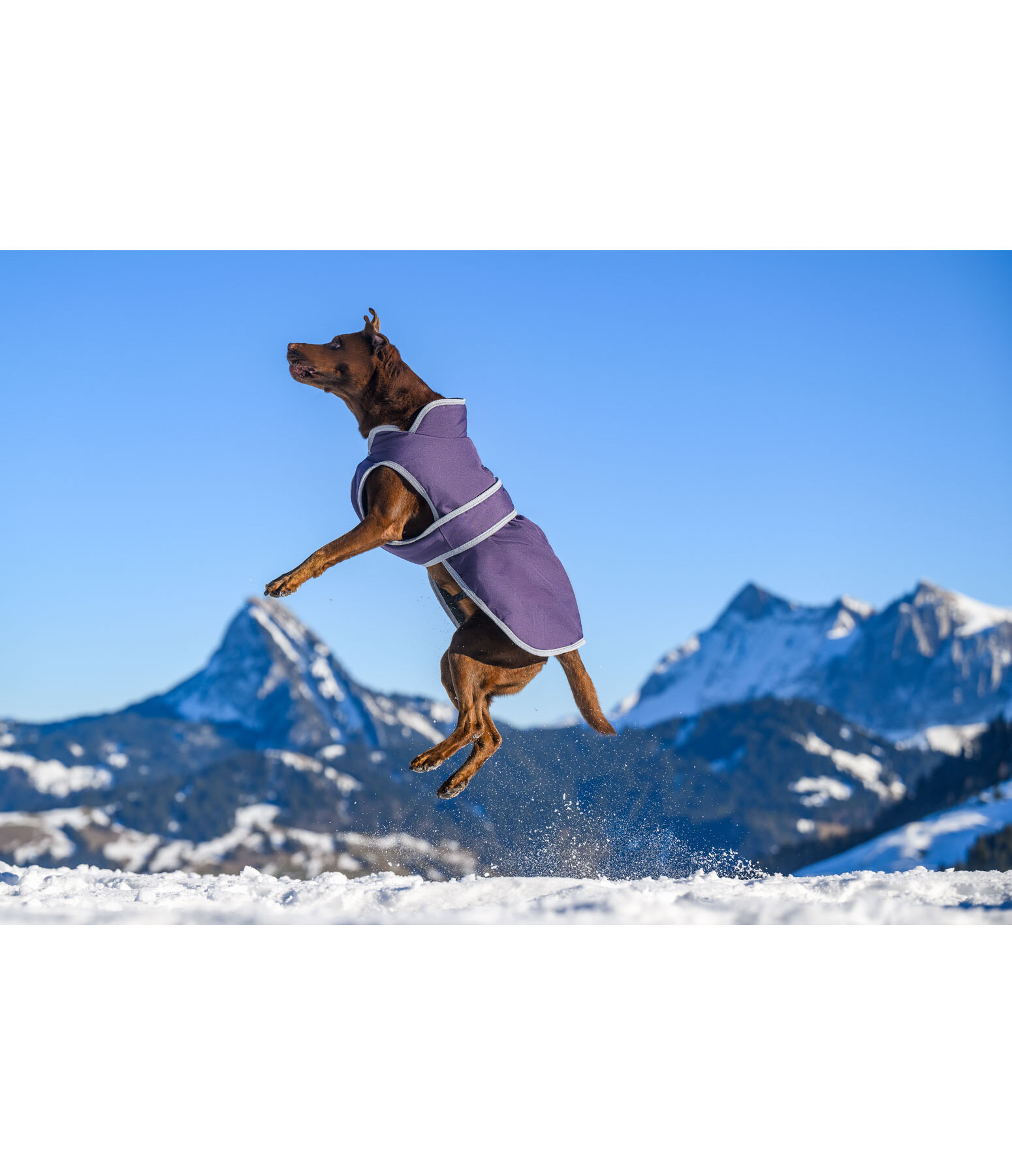 Cappotto invernale per cani con pile Eddie, 200 g