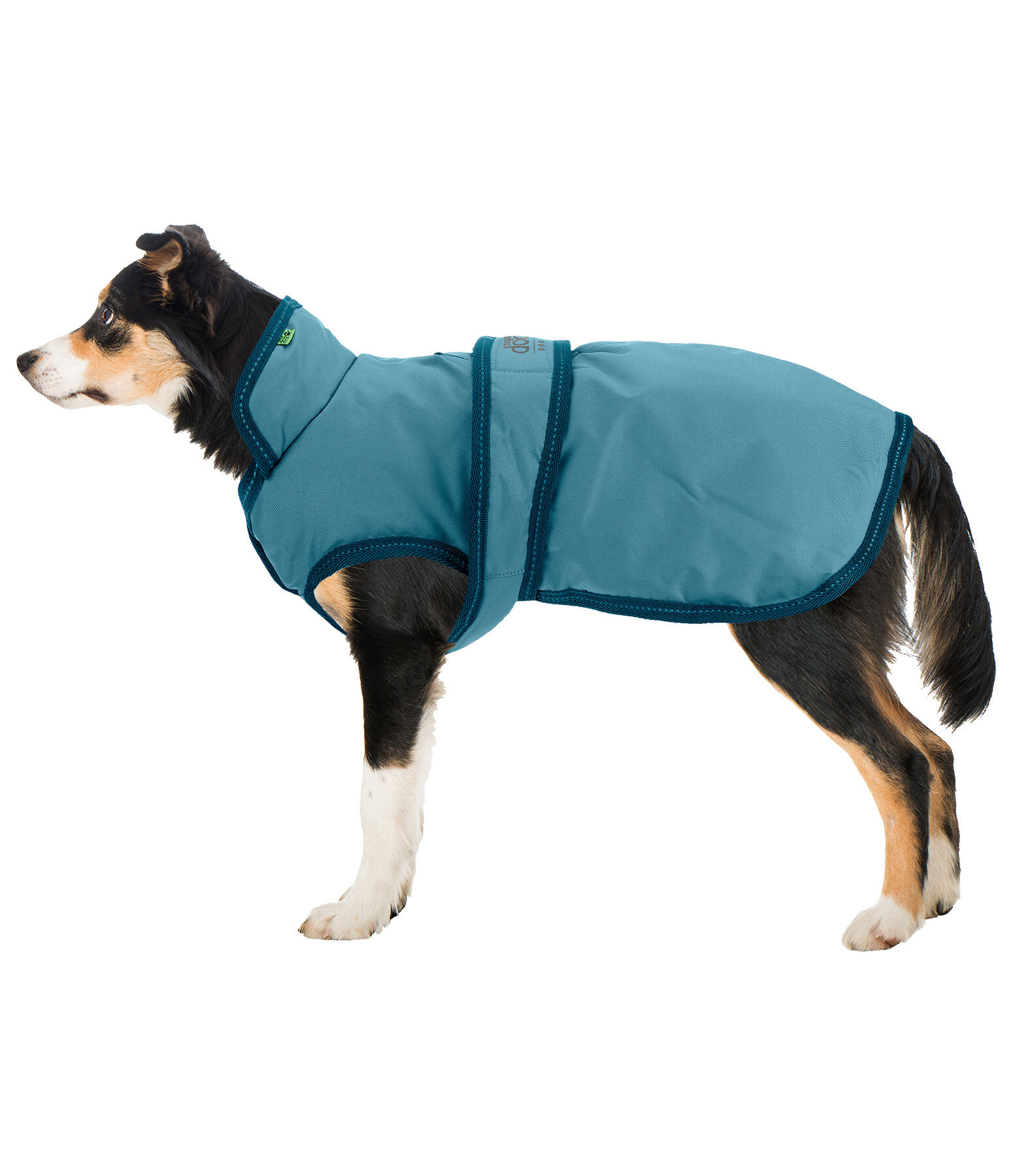 Cappotto invernale per cani Eddie con pile, 200 g