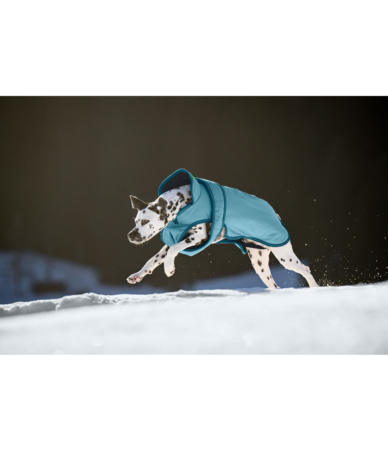Cappotto invernale per cani Eddie con pile, 200 g