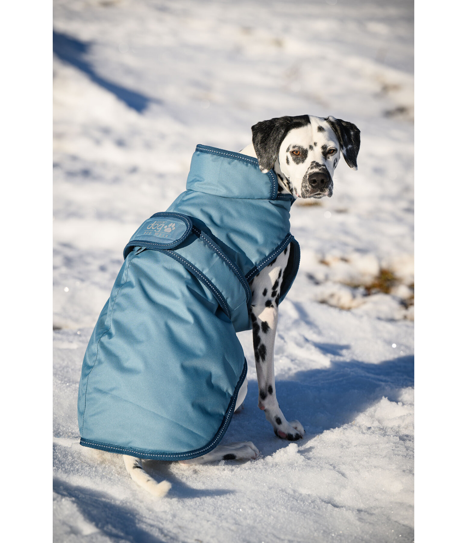 Cappotto invernale per cani Eddie con pile, 200 g