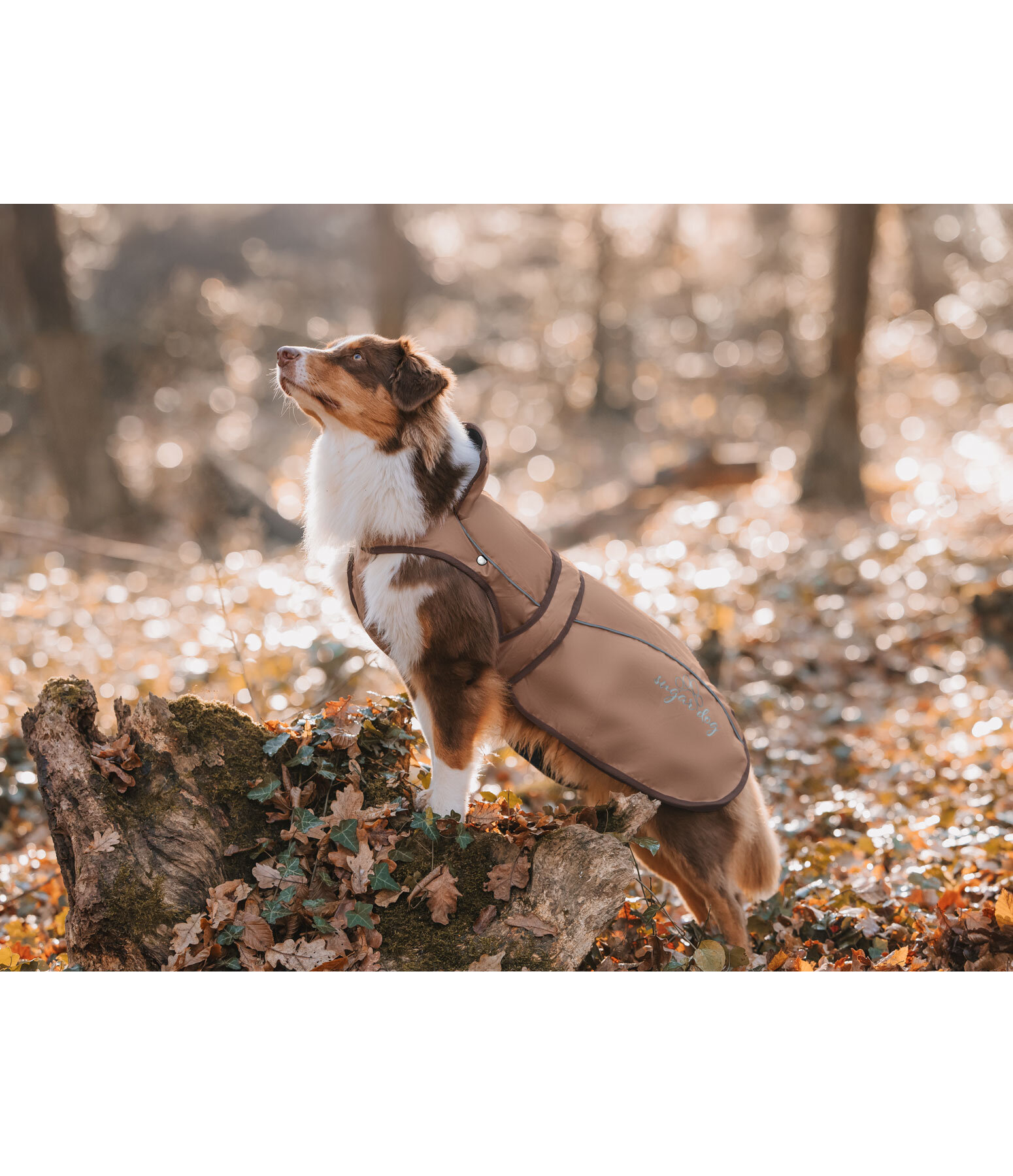 Cappotto per cani in nylon 2 in 1 Ally