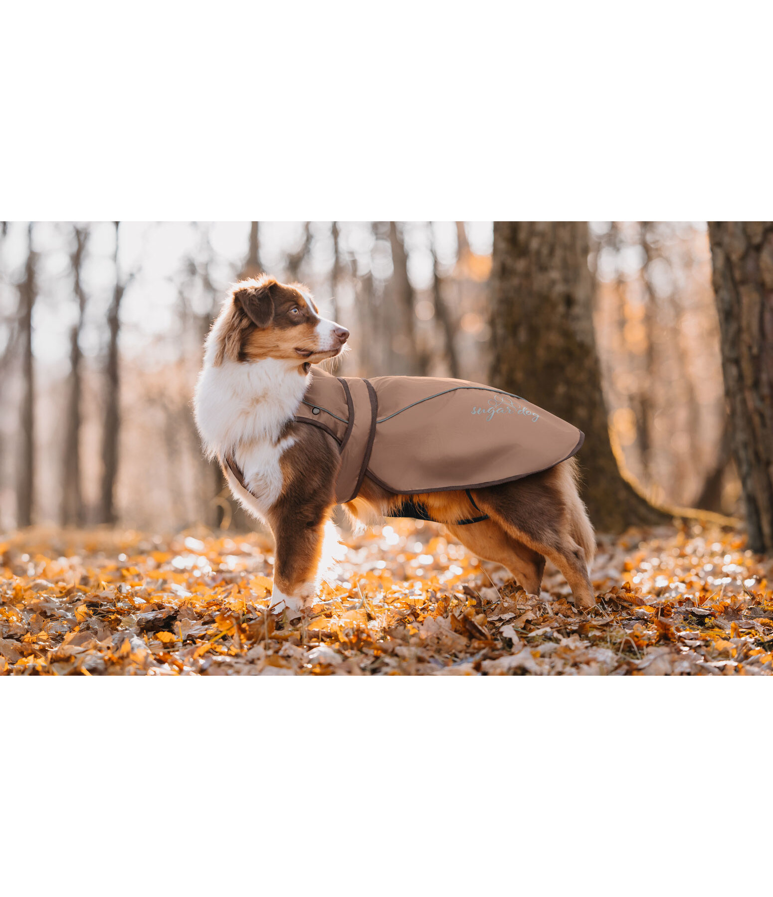 Cappotto per cani in nylon 2 in 1 Ally