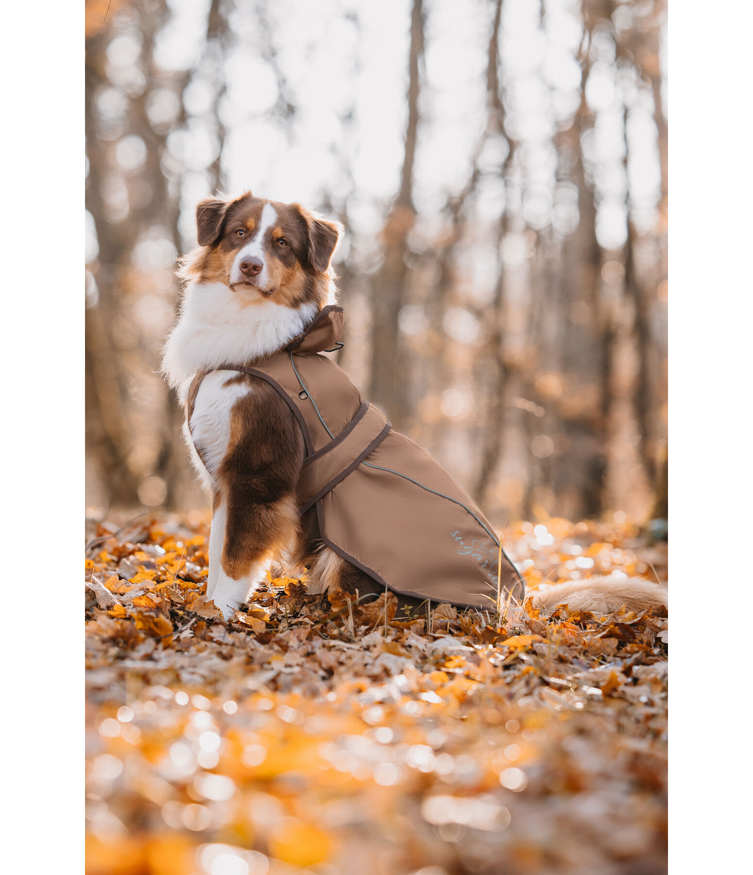 Cappotto per cani in nylon 2 in 1 Ally