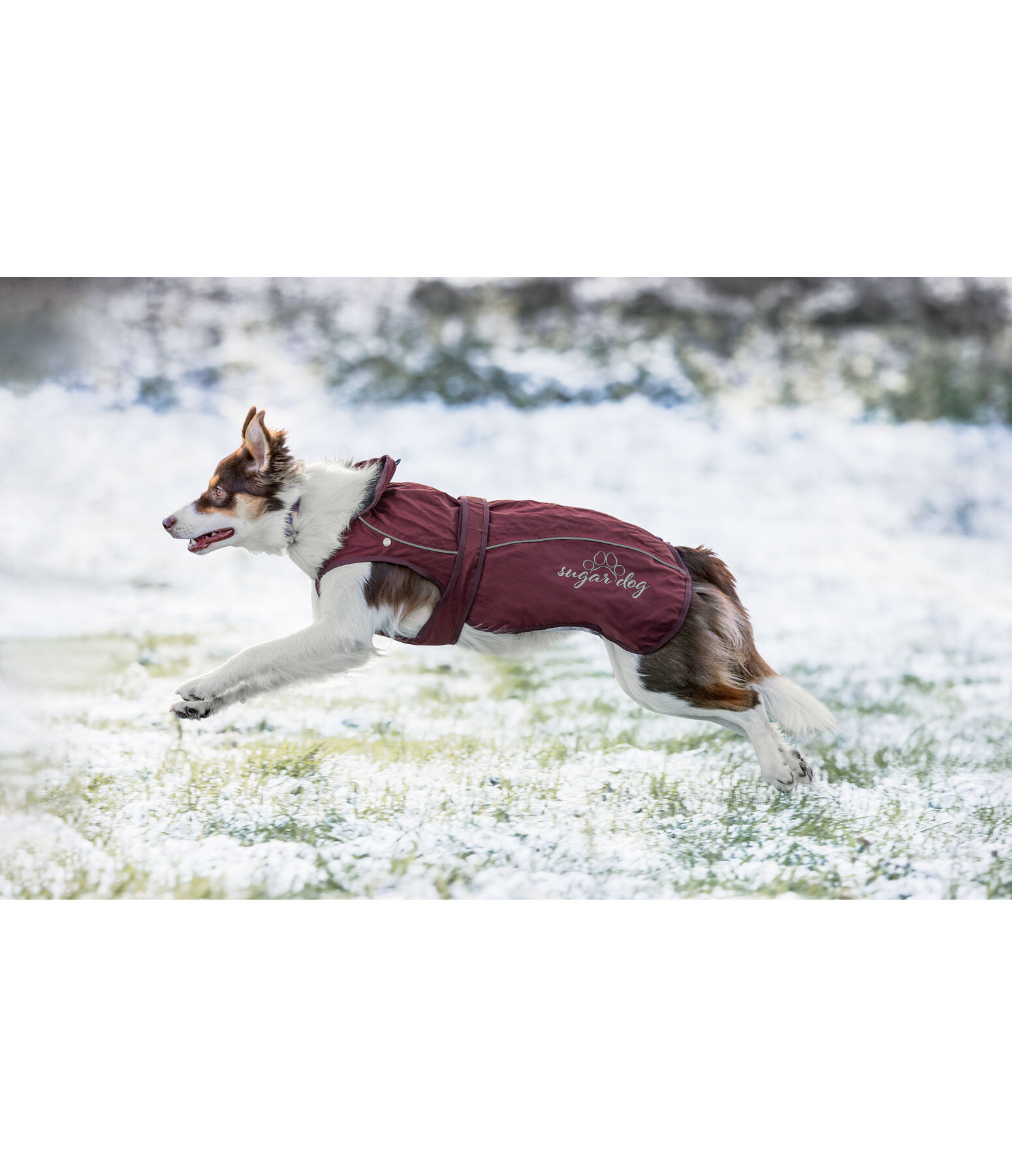 Cappotto per cani in nylon 2 in 1 Ally