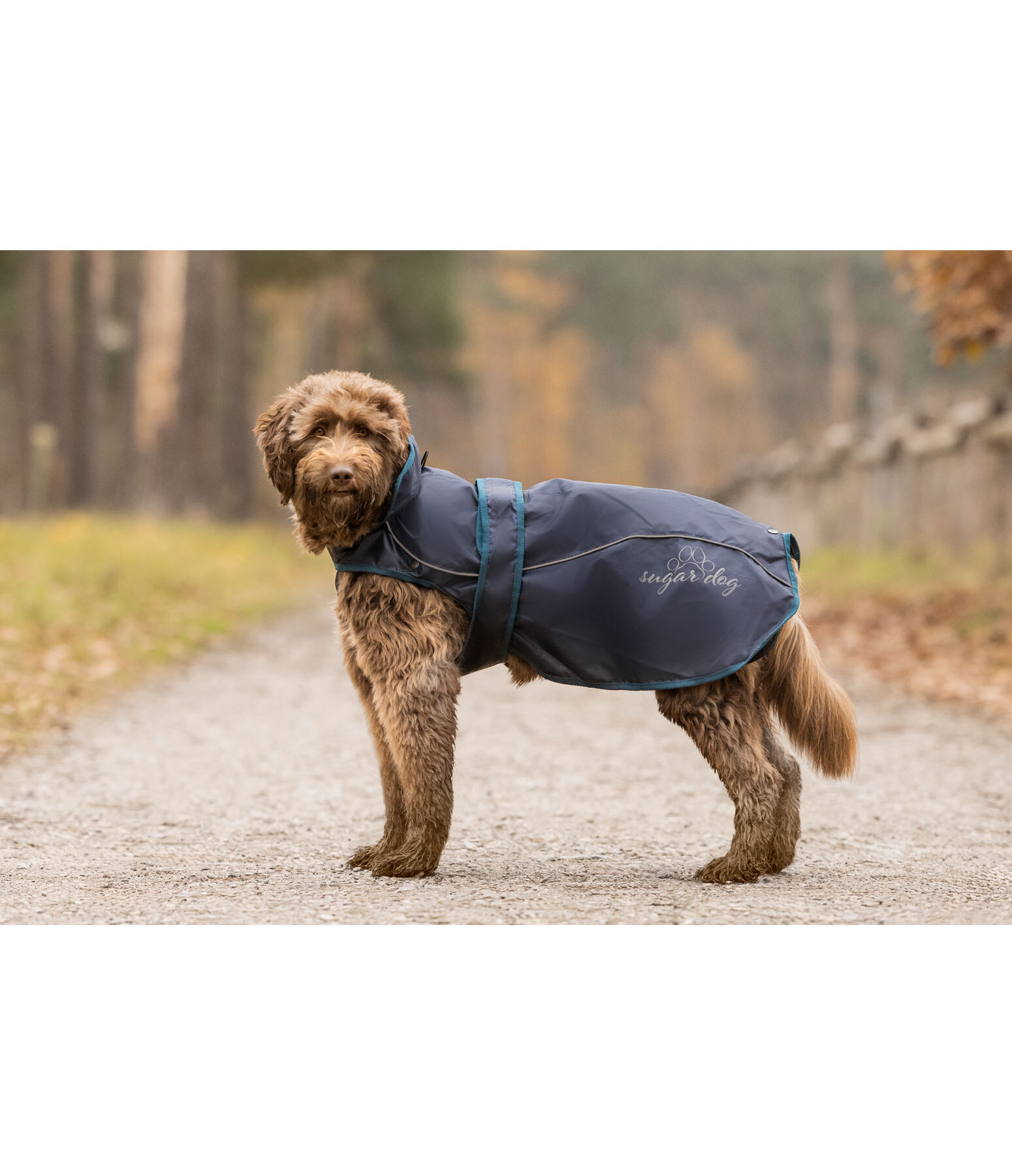 Cappotto per cani in nylon 2 in 1 Ally