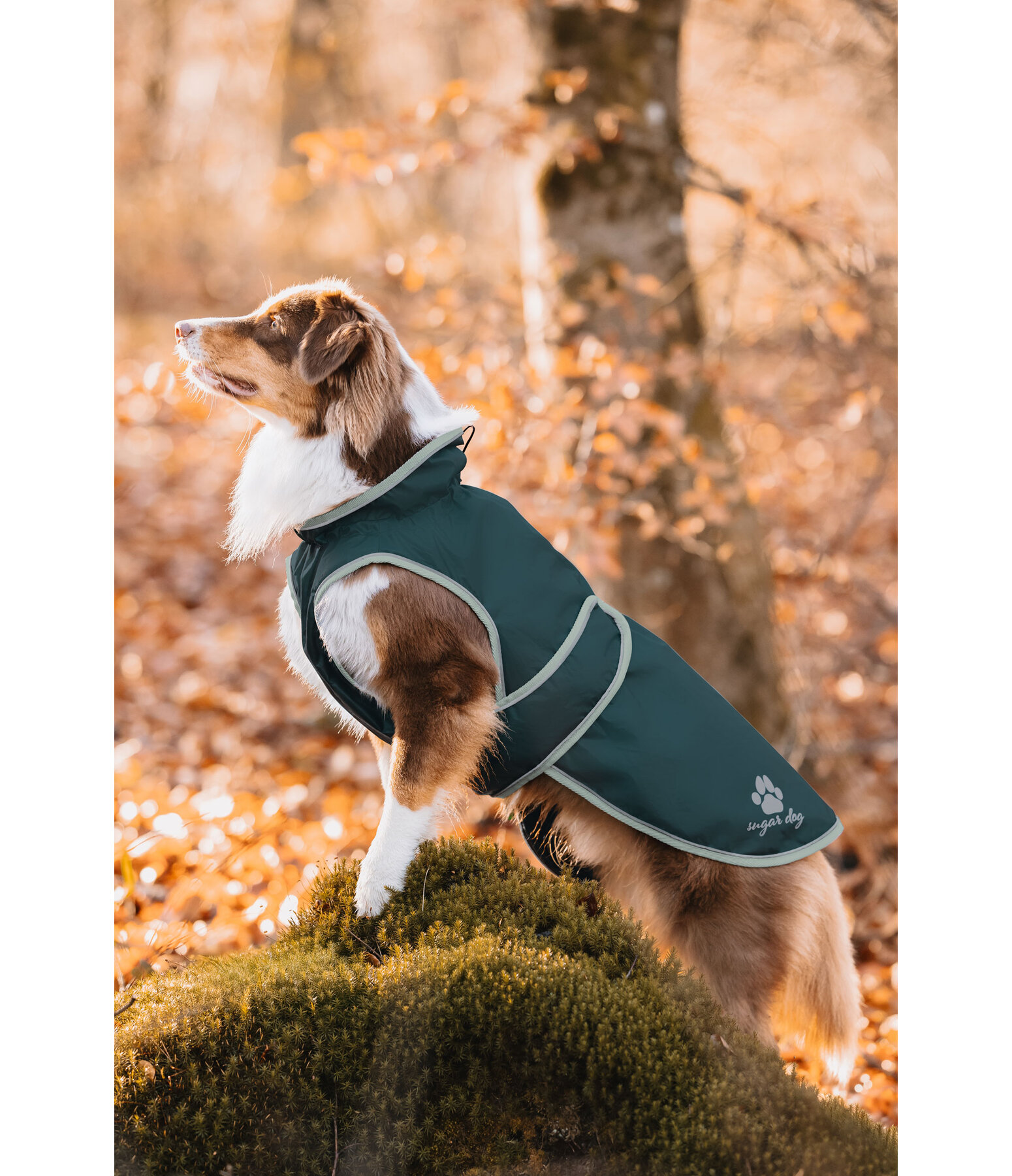 Impermeabile per cani con pile Eldoro II, 0 g