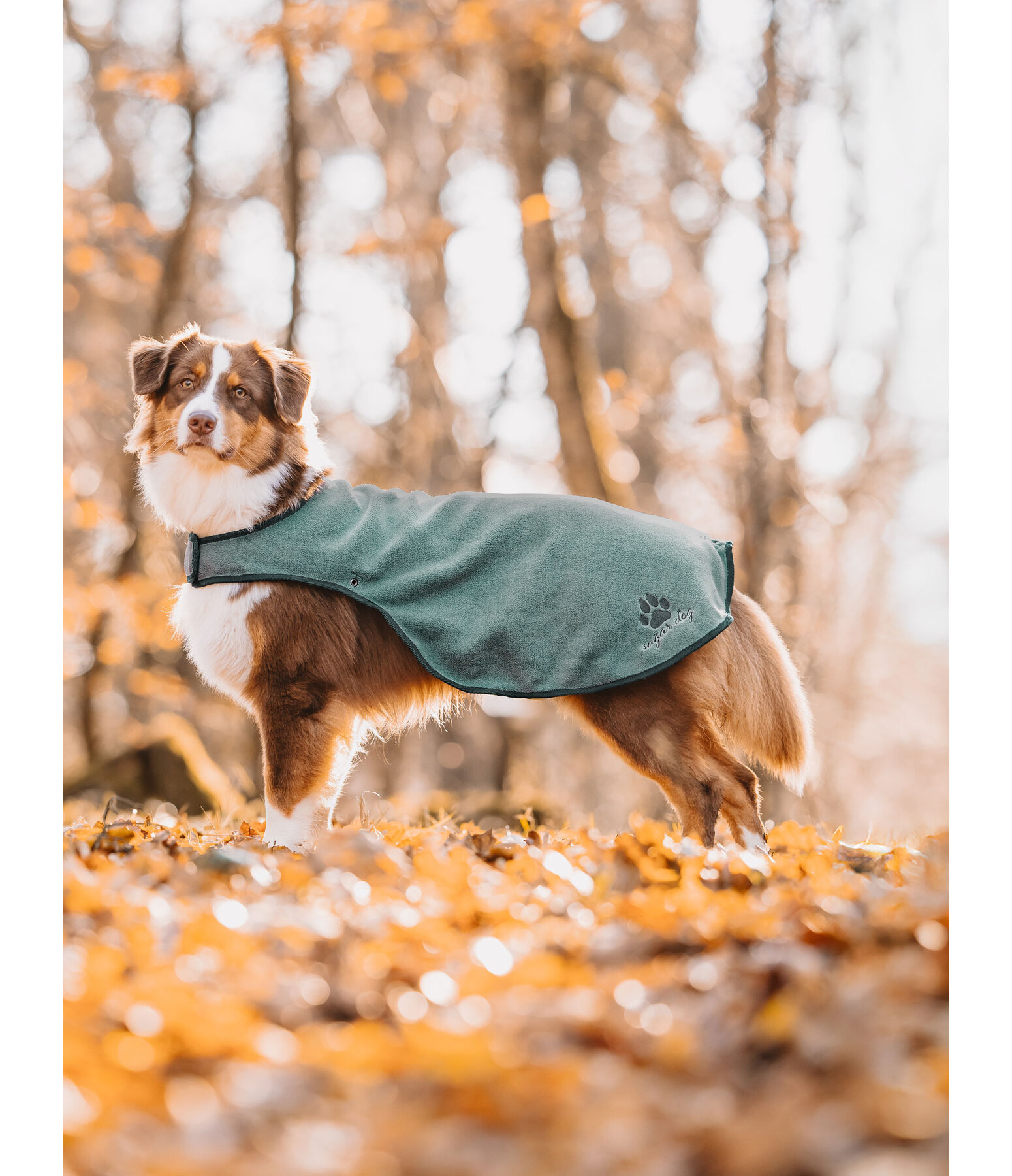 Impermeabile per cani con pile Eldoro II, 0 g