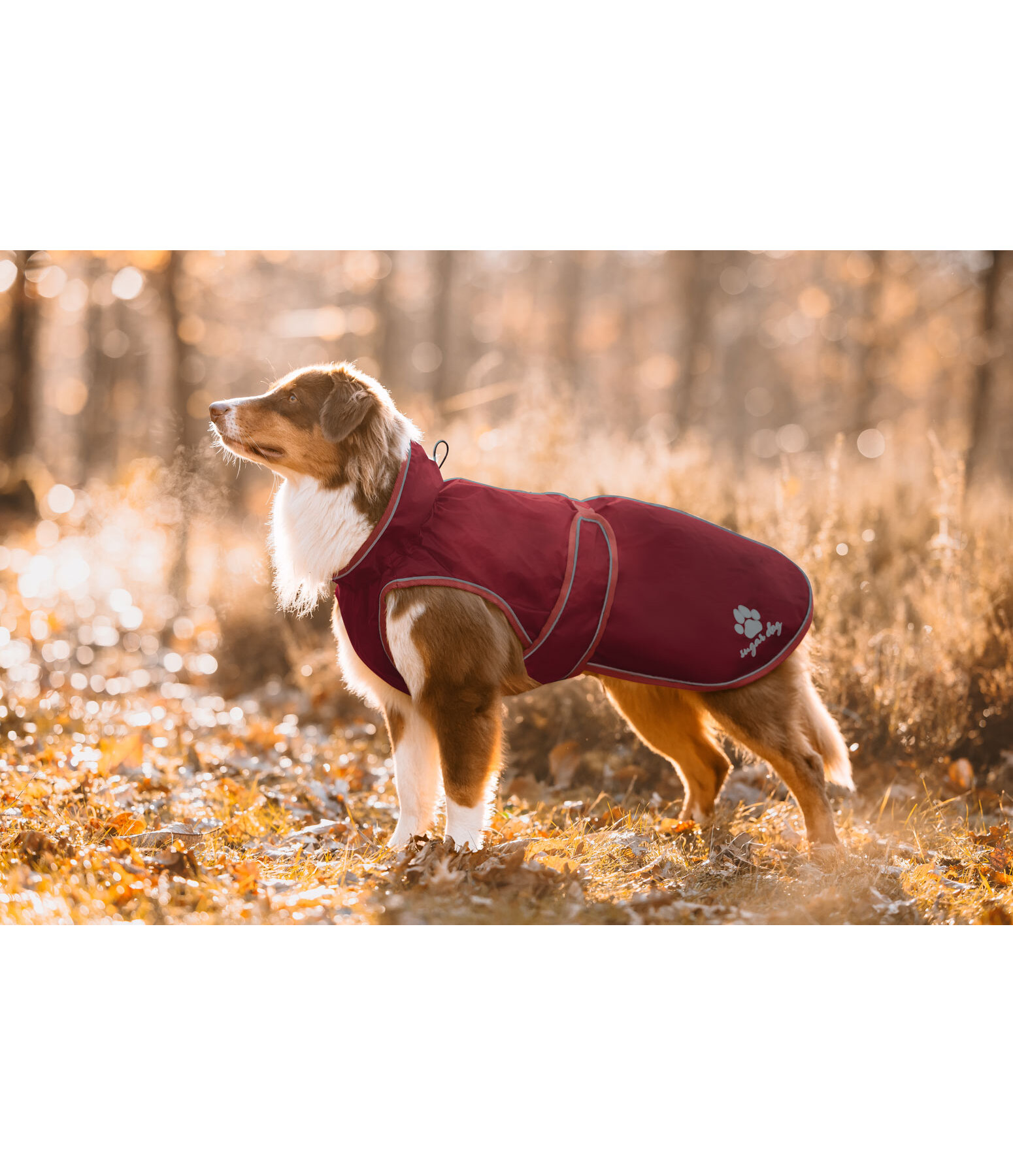 Impermeabile per cani con pile Eldoro II, 0 g