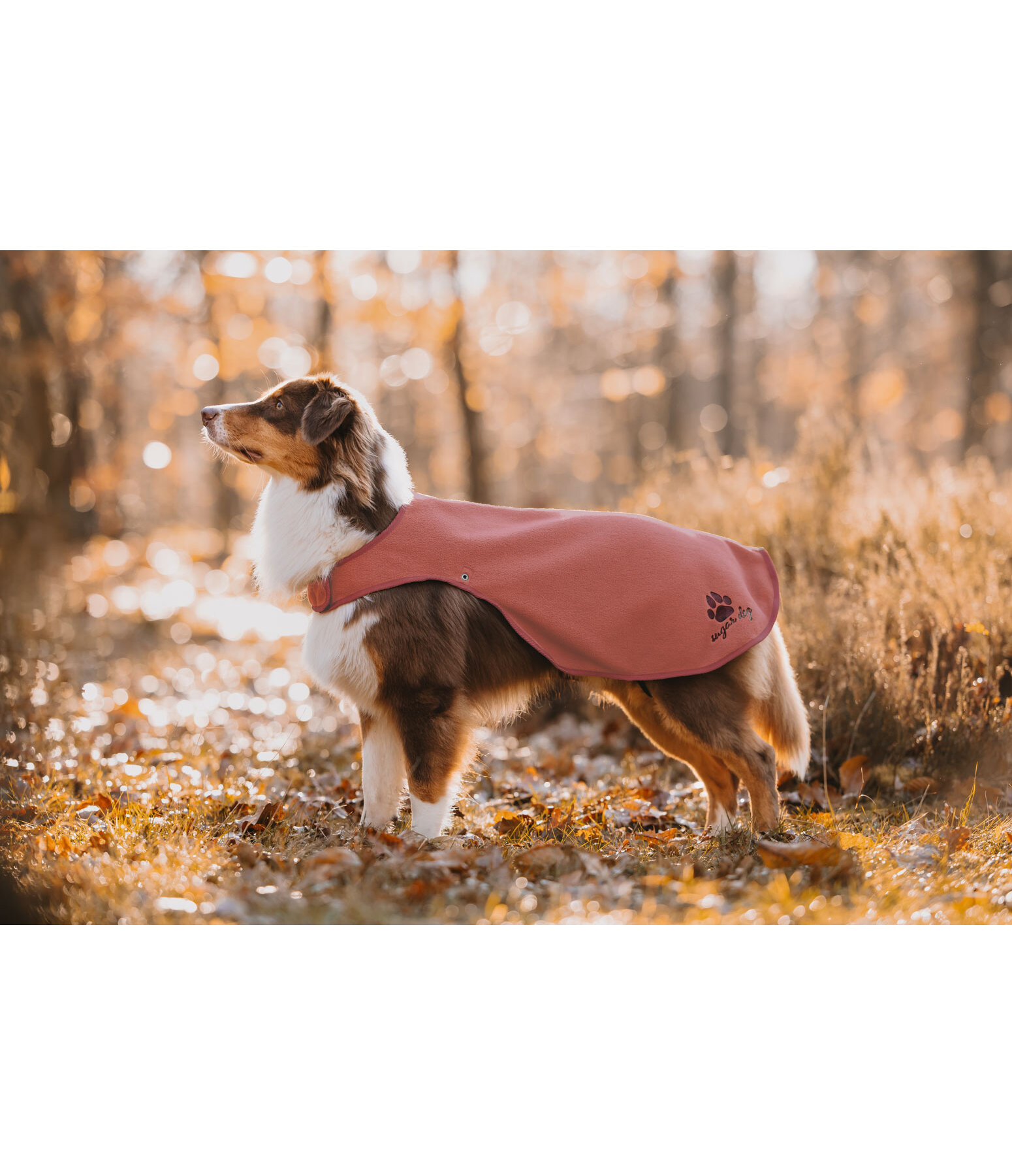 Impermeabile per cani con pile Eldoro II, 0 g