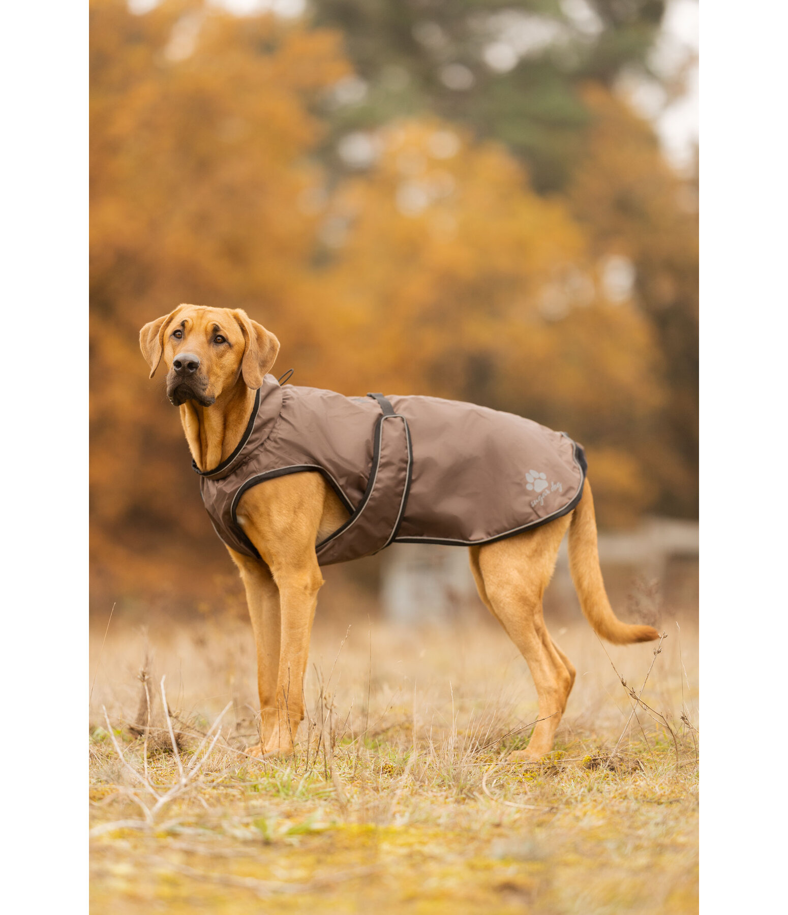 Impermeabile per cani con pile Eldoro II, 0 g