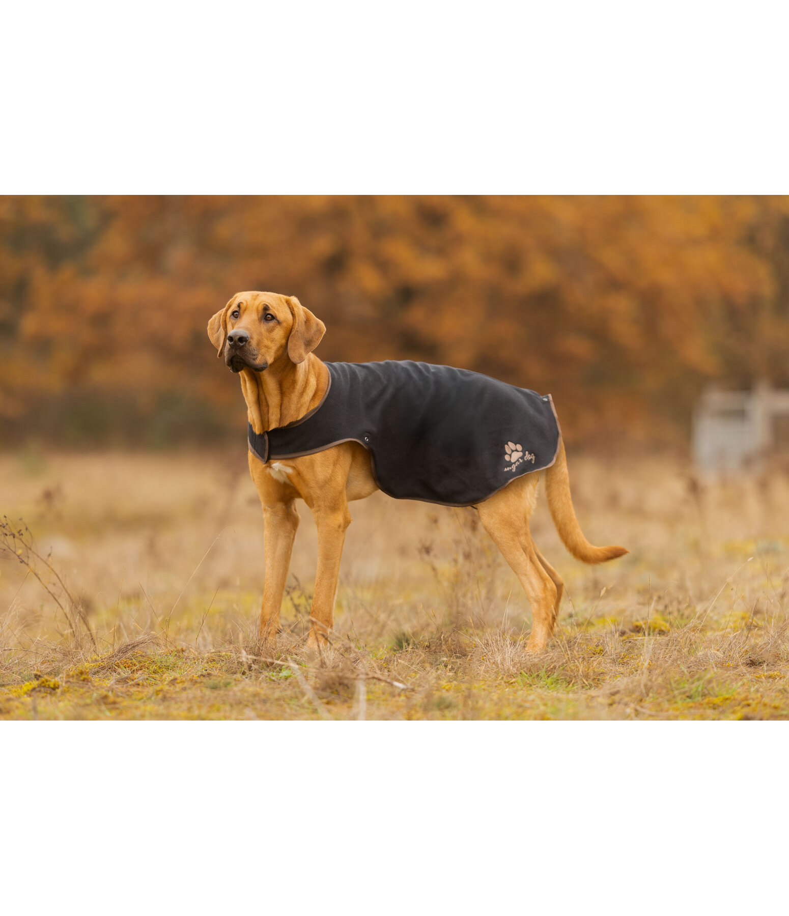 Impermeabile per cani con pile Eldoro II, 0 g