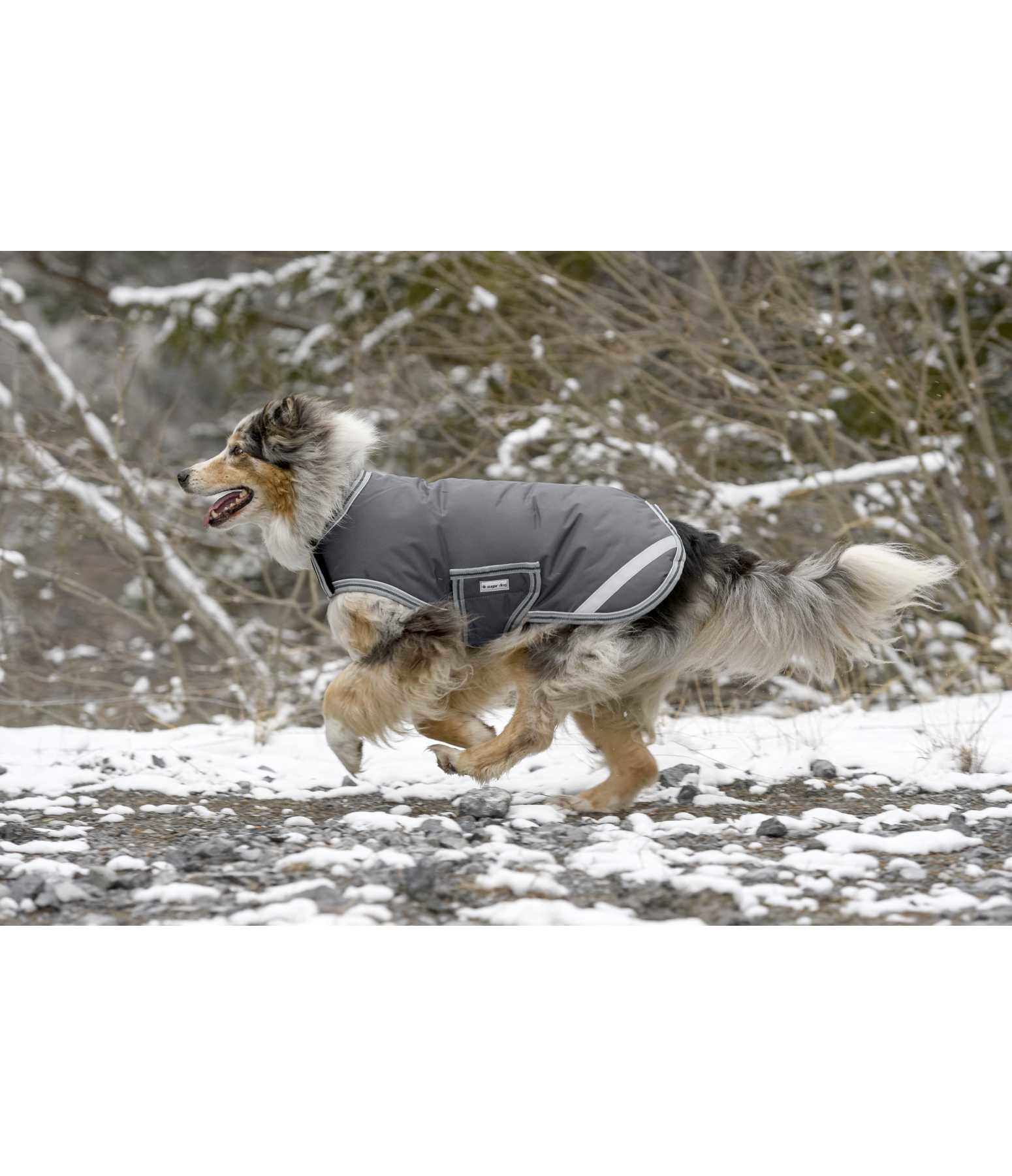Cappotto invernale per cani, 300 gr