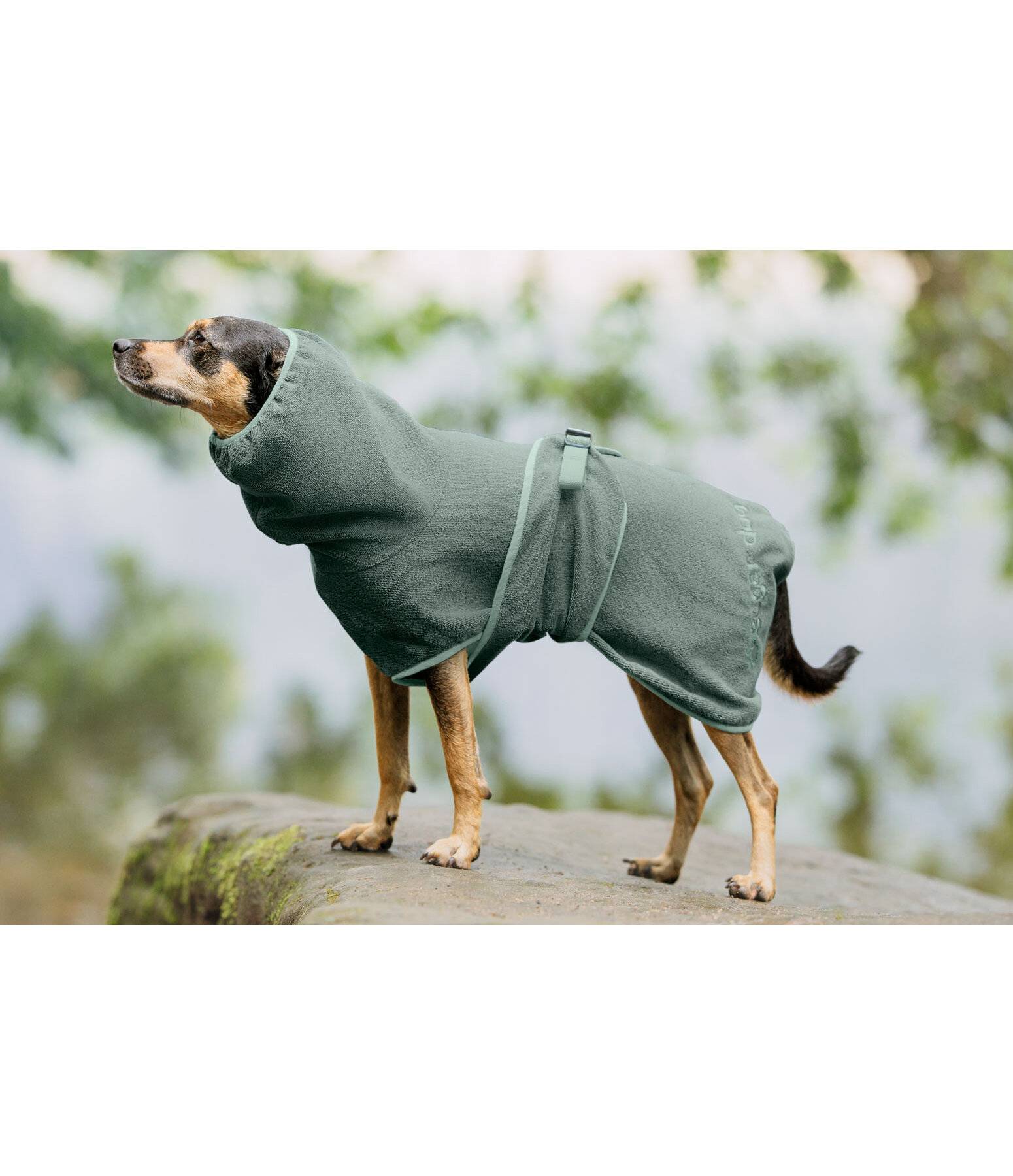 Accappatoio per cani Dry Dog II
