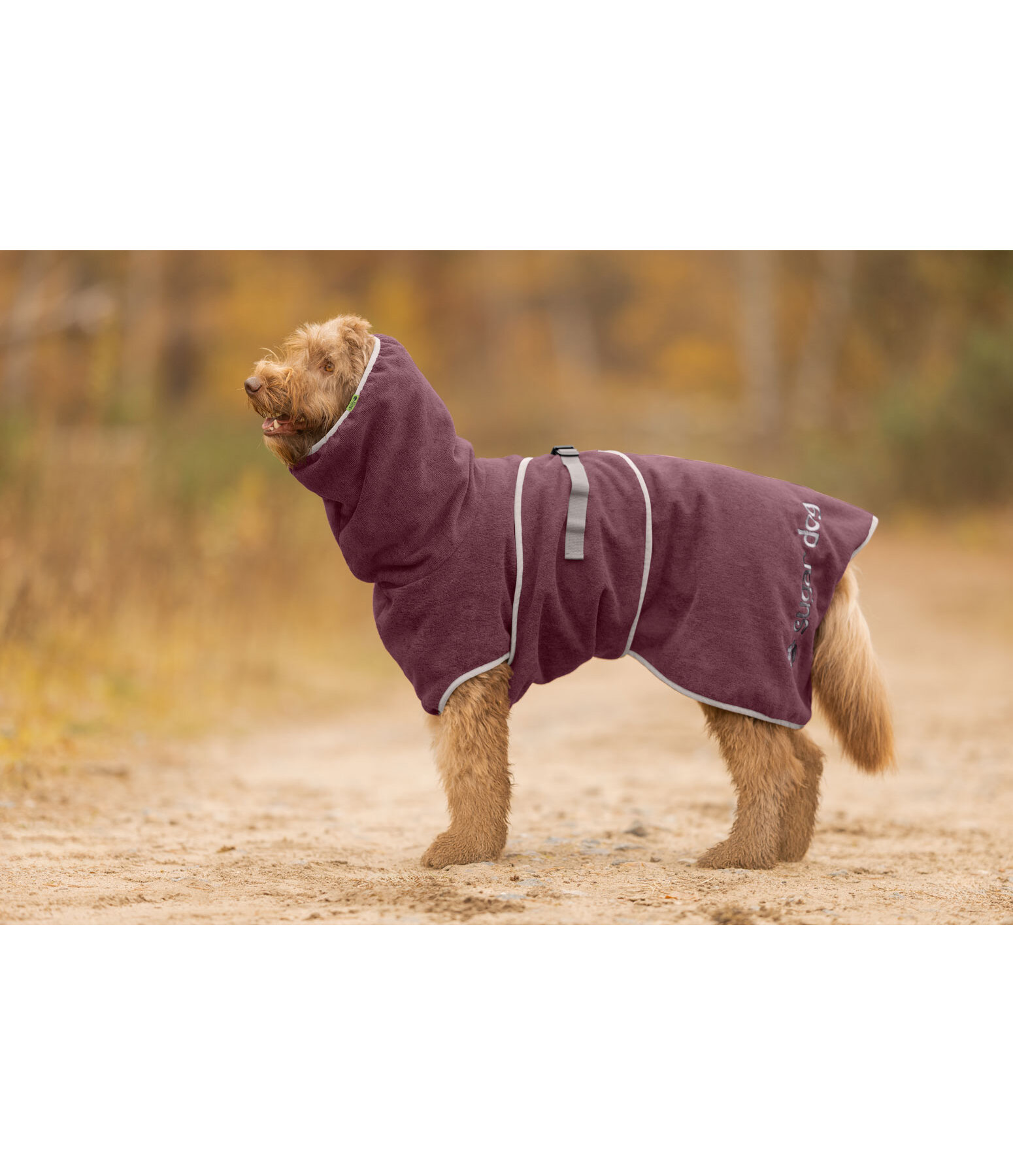 Accappatoio per cani Dry Dog II