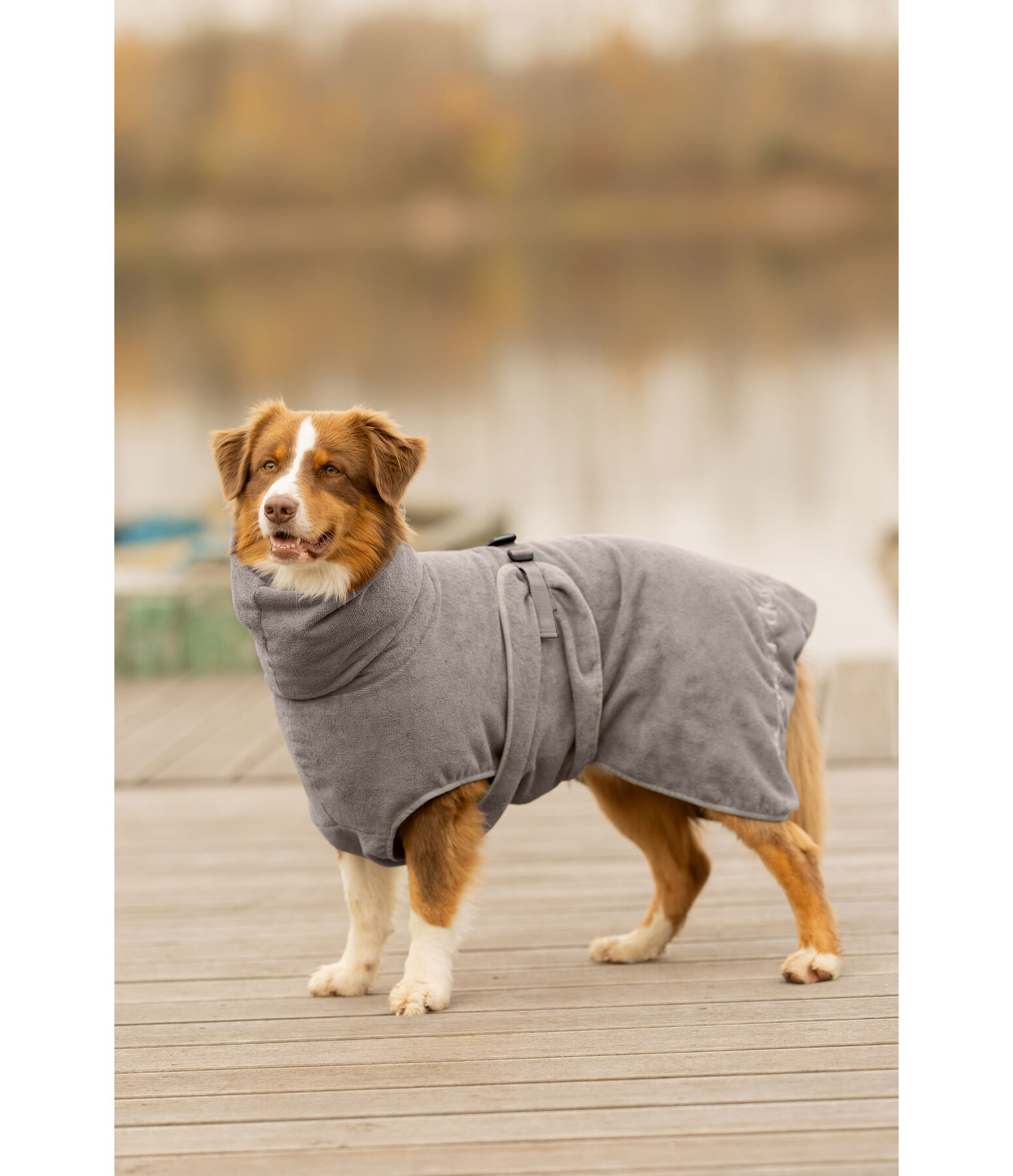 Accappatoio per cani Dry Dog II