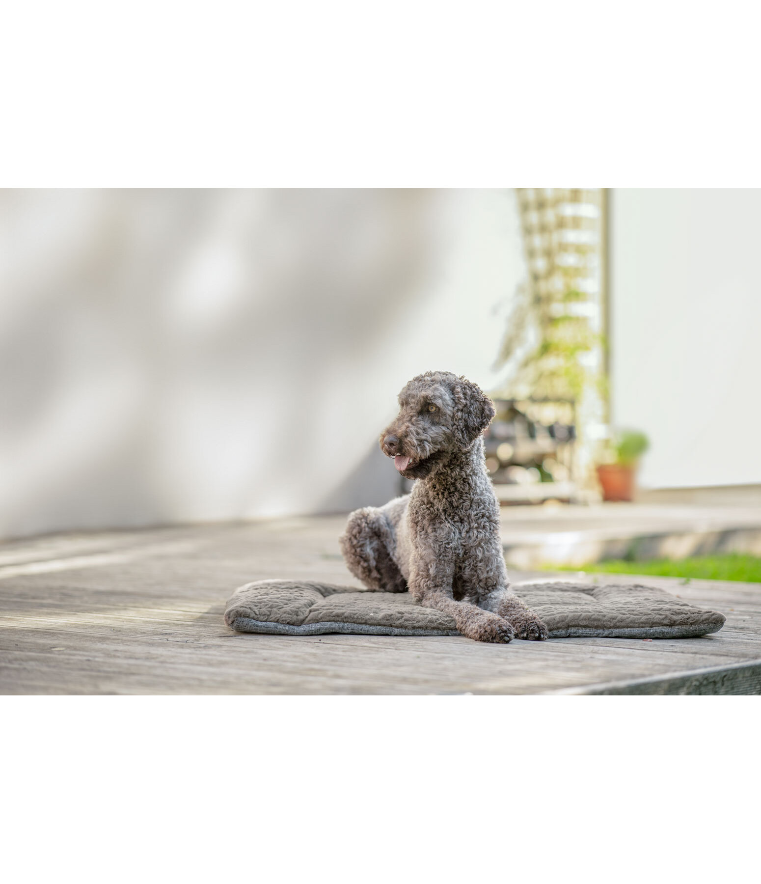 Coperta per cani Let Me Sleep