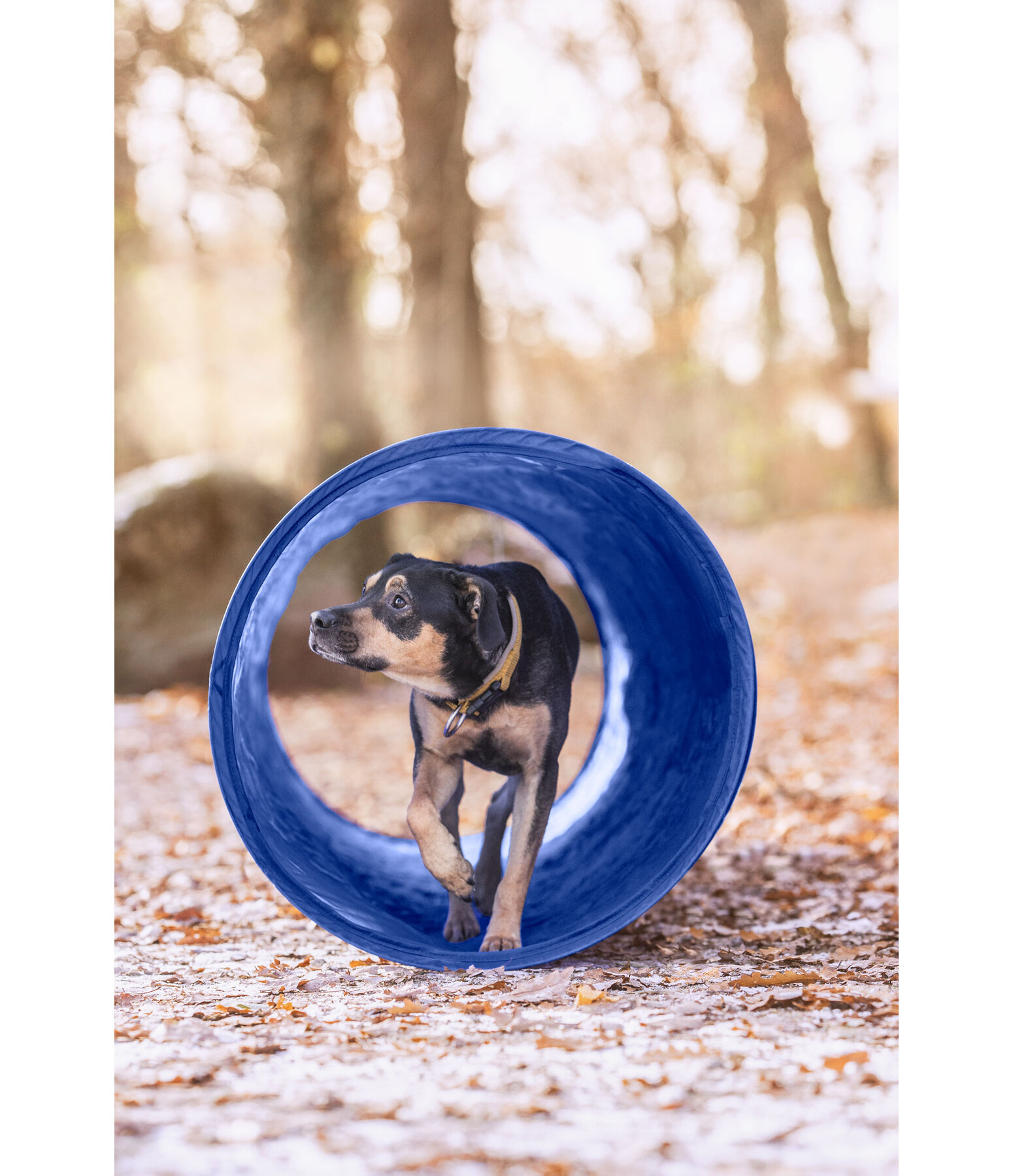 Tunnel agility